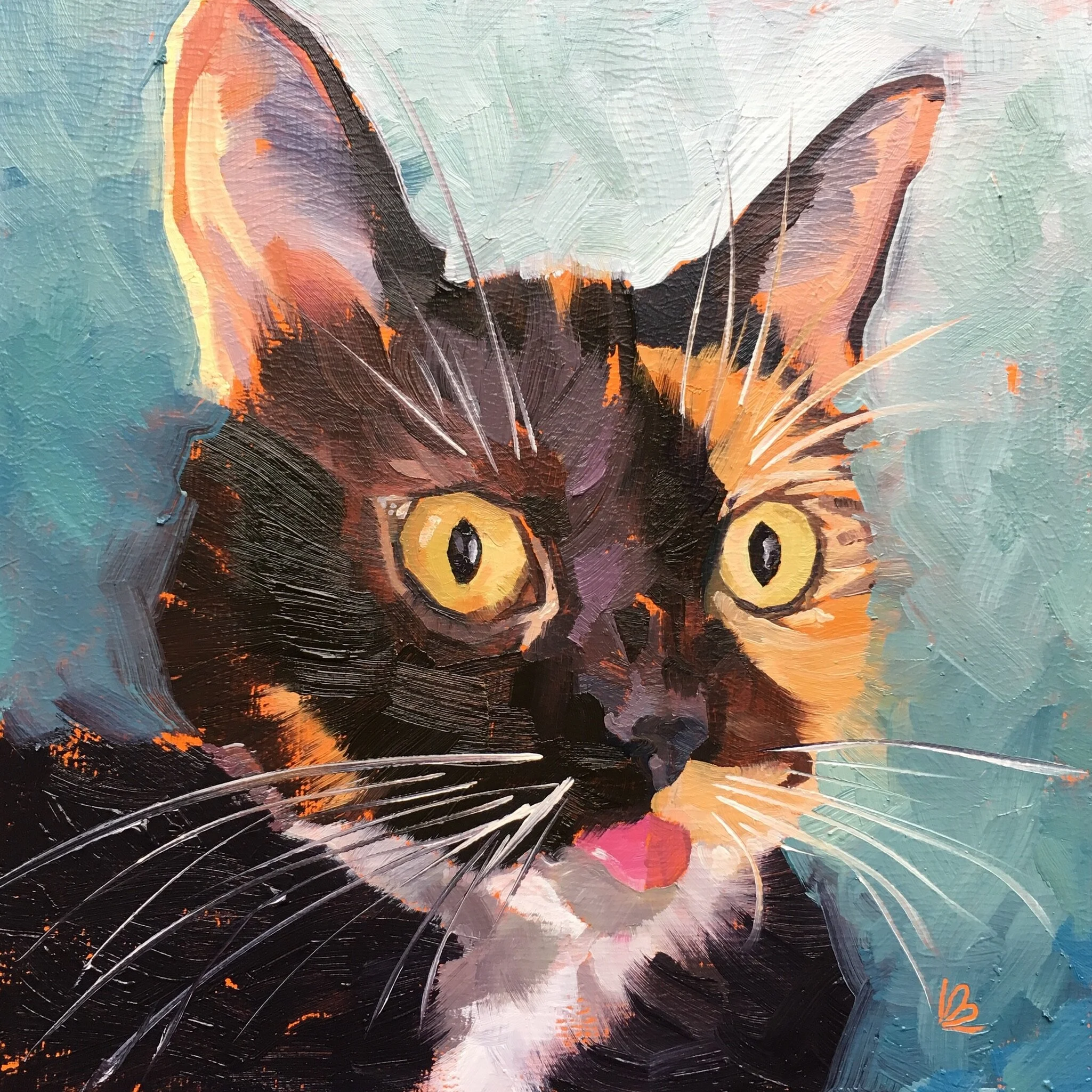 EMBER the Calico Cat