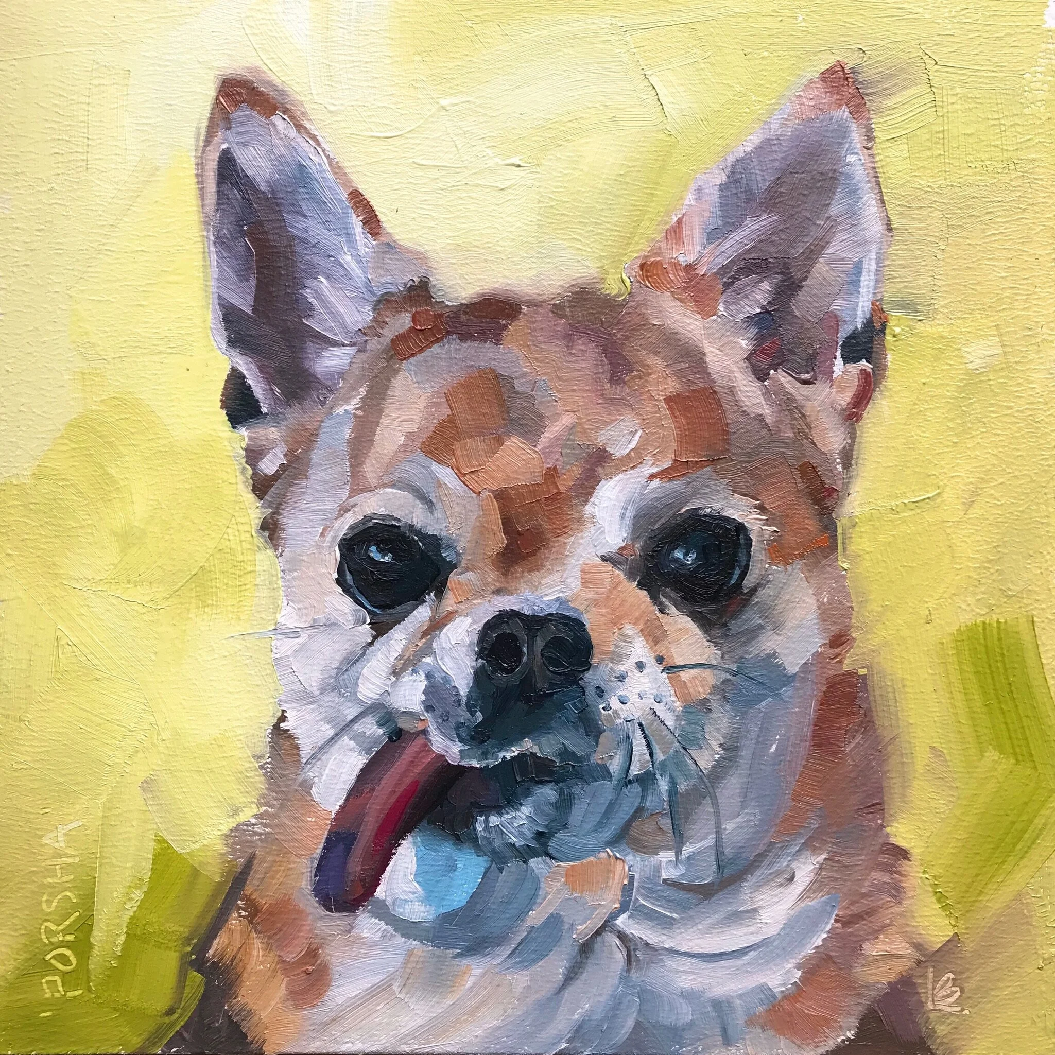 PORSHA the Chihuahua