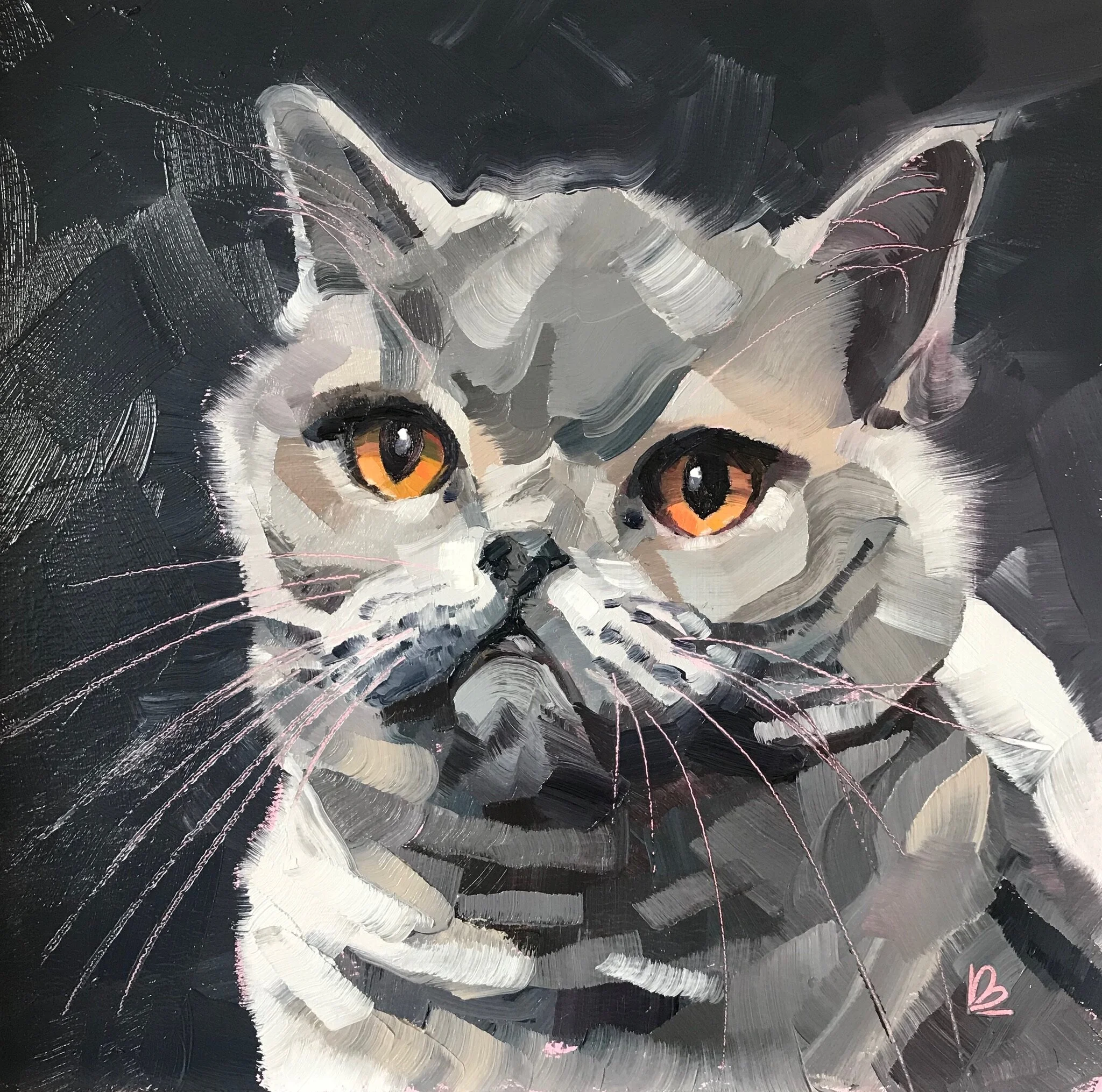 MYSIA the British Shorthaired Cat