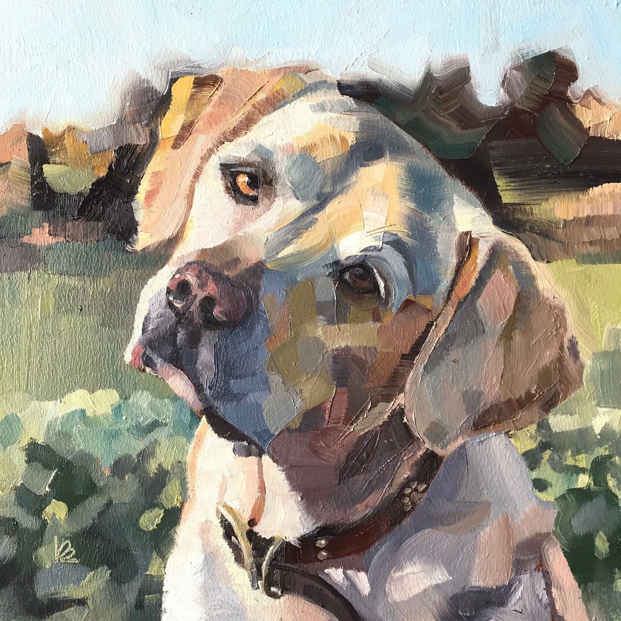 BUGZI the Golden Labrador