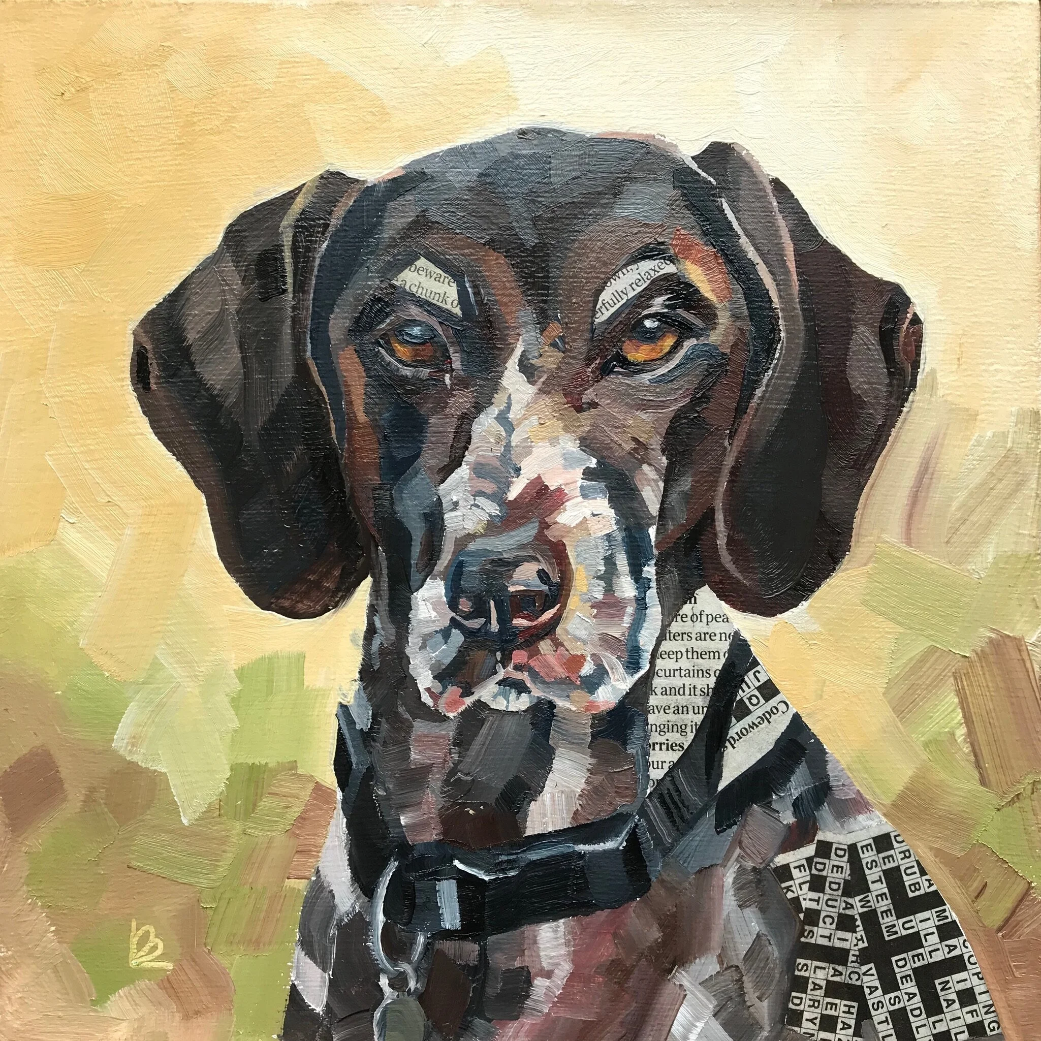 ALASKA the German Shorthaired Pointer