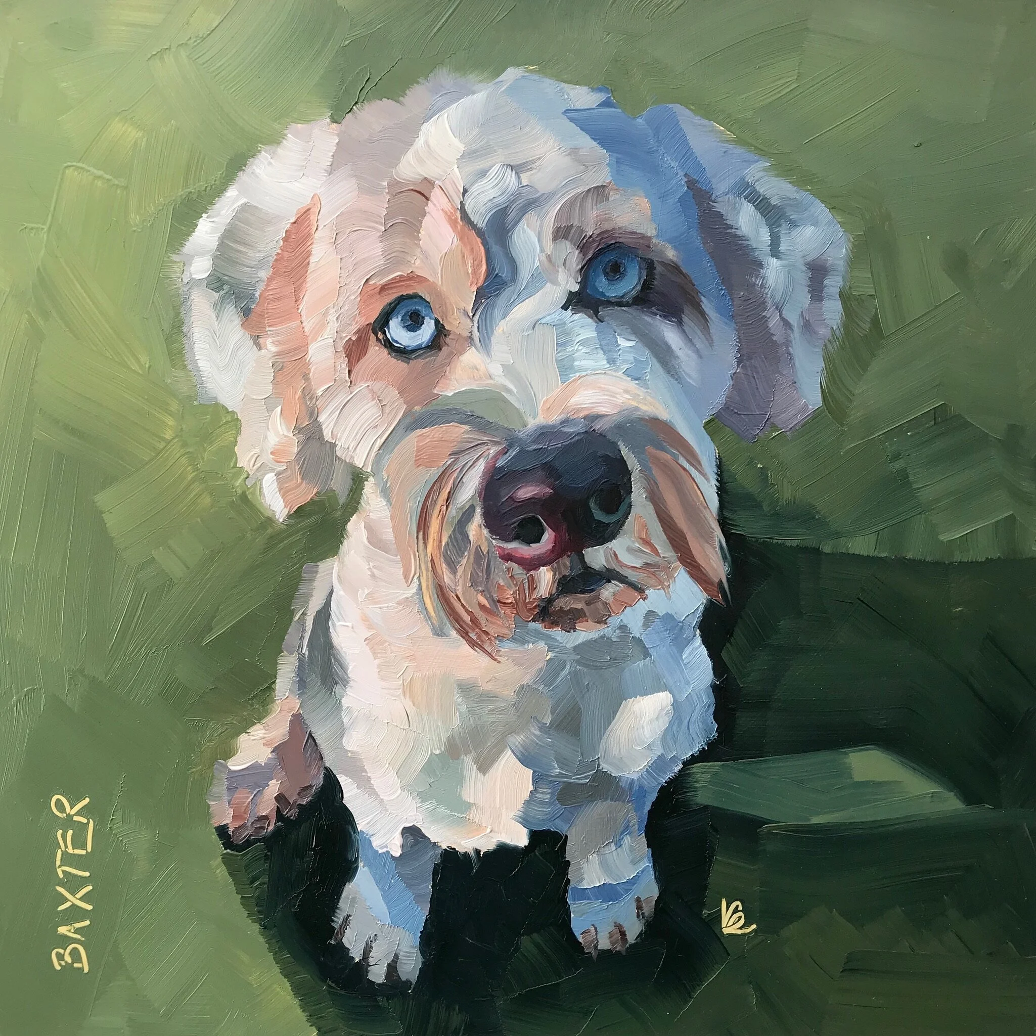 BAXTER the Old English Sheepdog