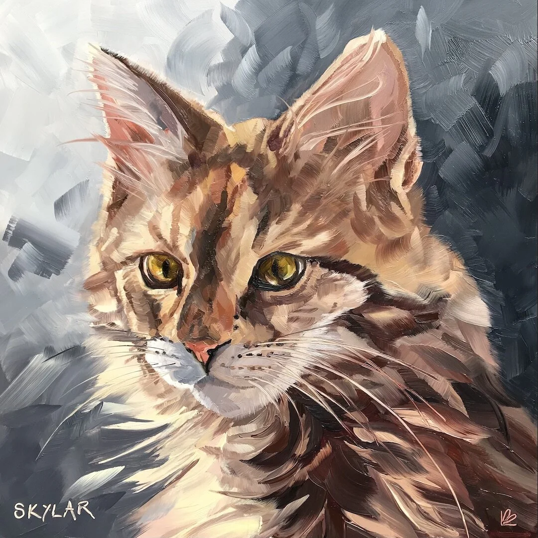 SKYLAR the Siberian Cat