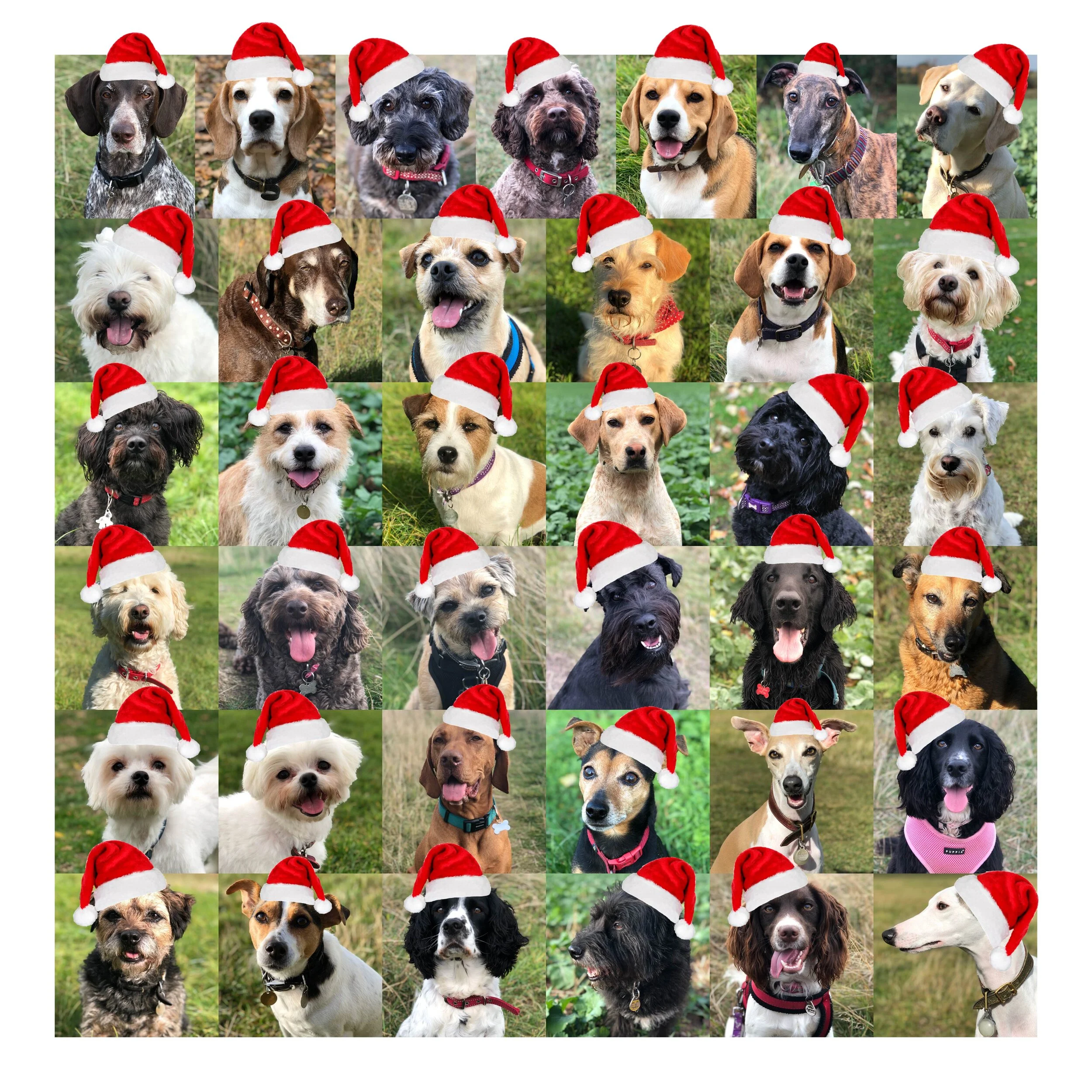 CHRISTMAS COMMISSIONS