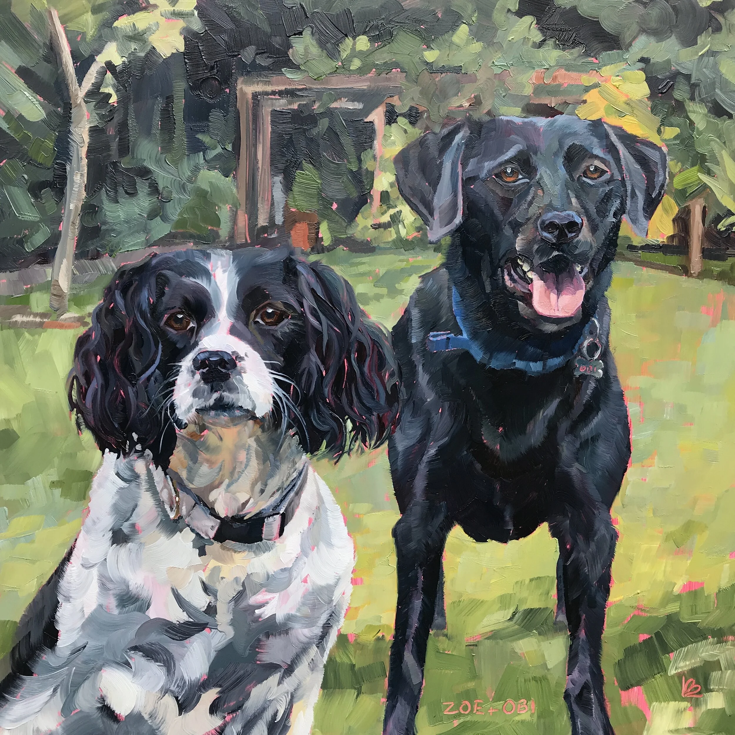 ZOE the Springer Spaniel &amp; OBI the Labrador