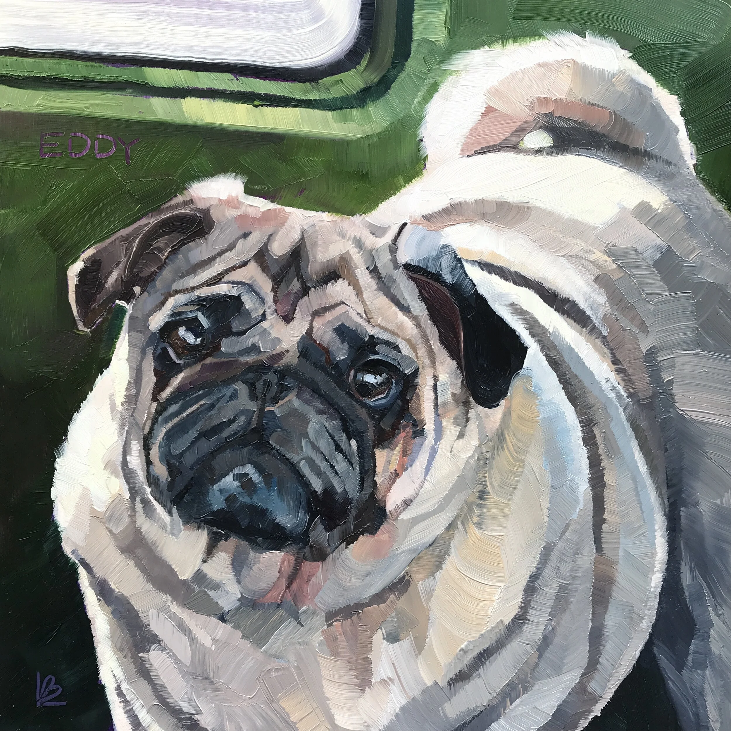 Eddy the Pug