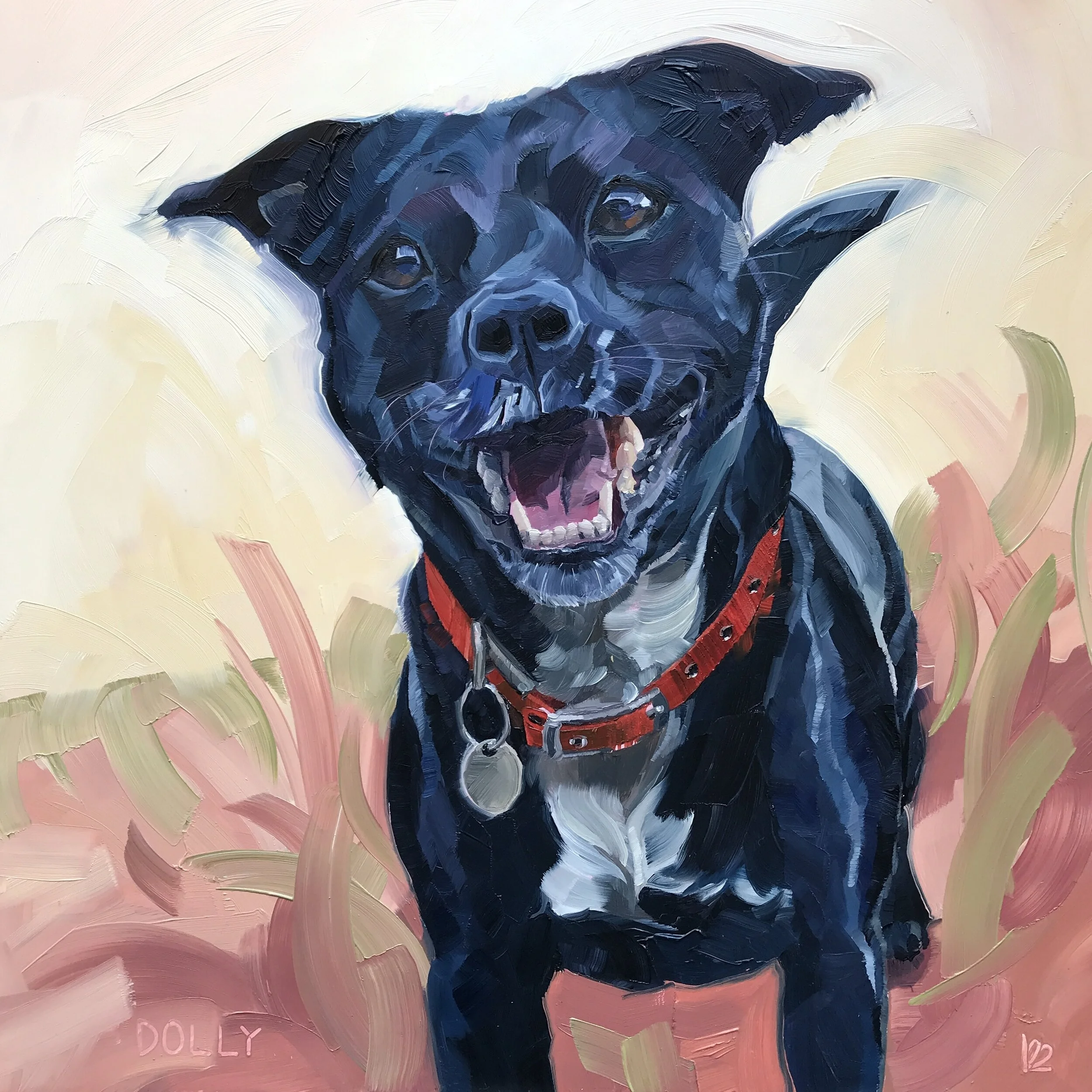 DOLLY the Patterdale/Staffie X