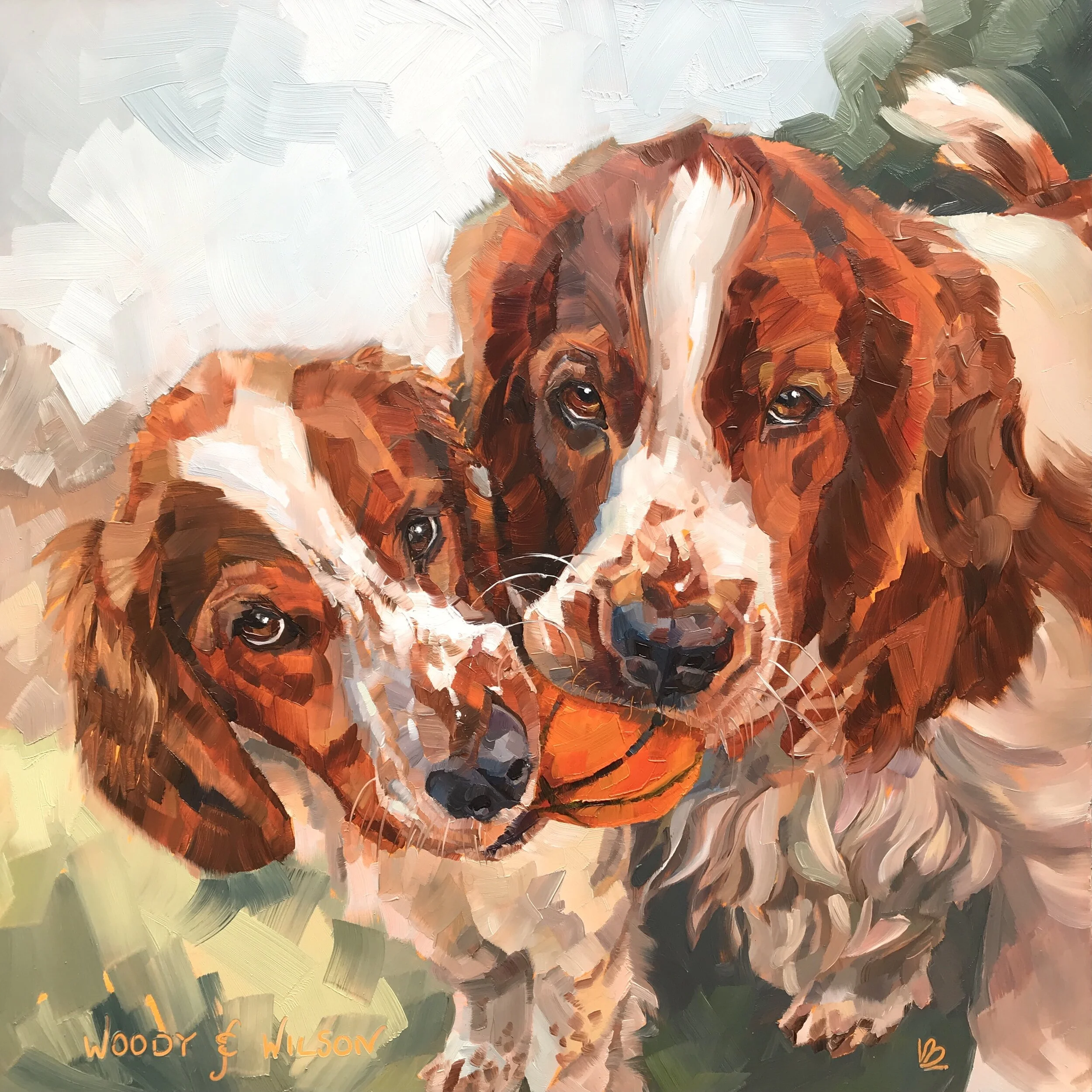WOODY &amp; WILSON the Welsh Springer Spaniels