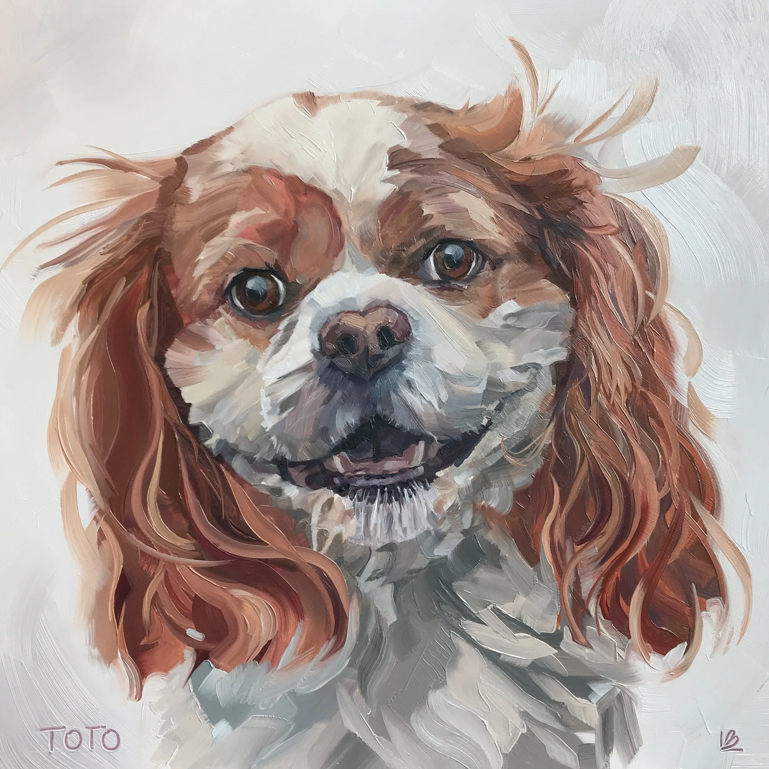 TOTO the Cavalier King Charles Spaniel