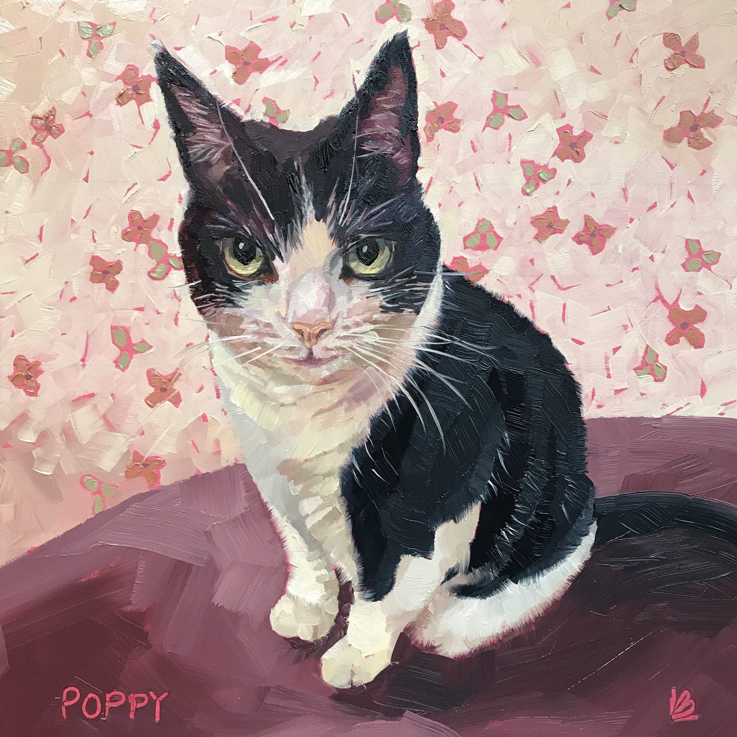 POPPY the Tuxedo Cat