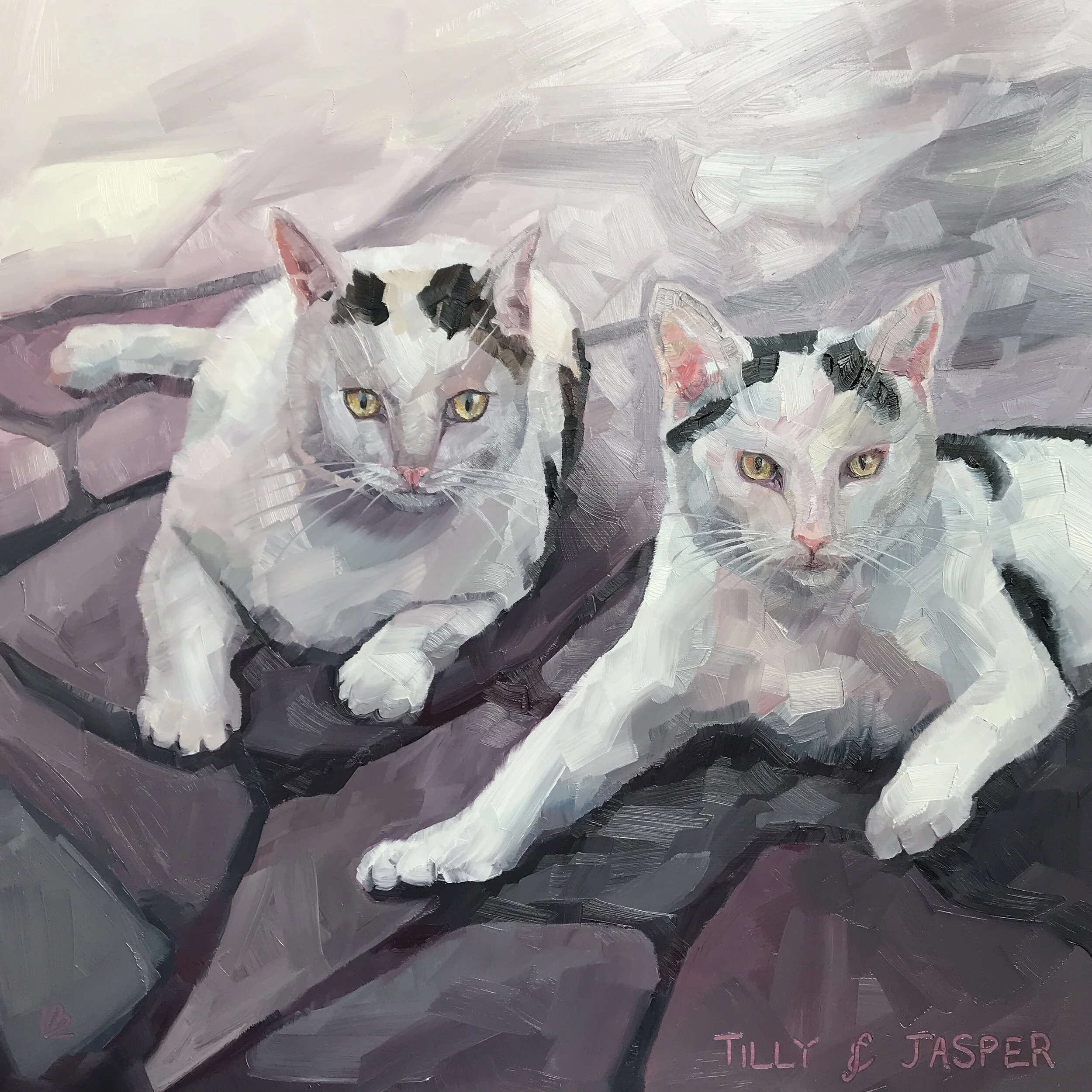 TILLY &amp; JASPER the White Cats!
