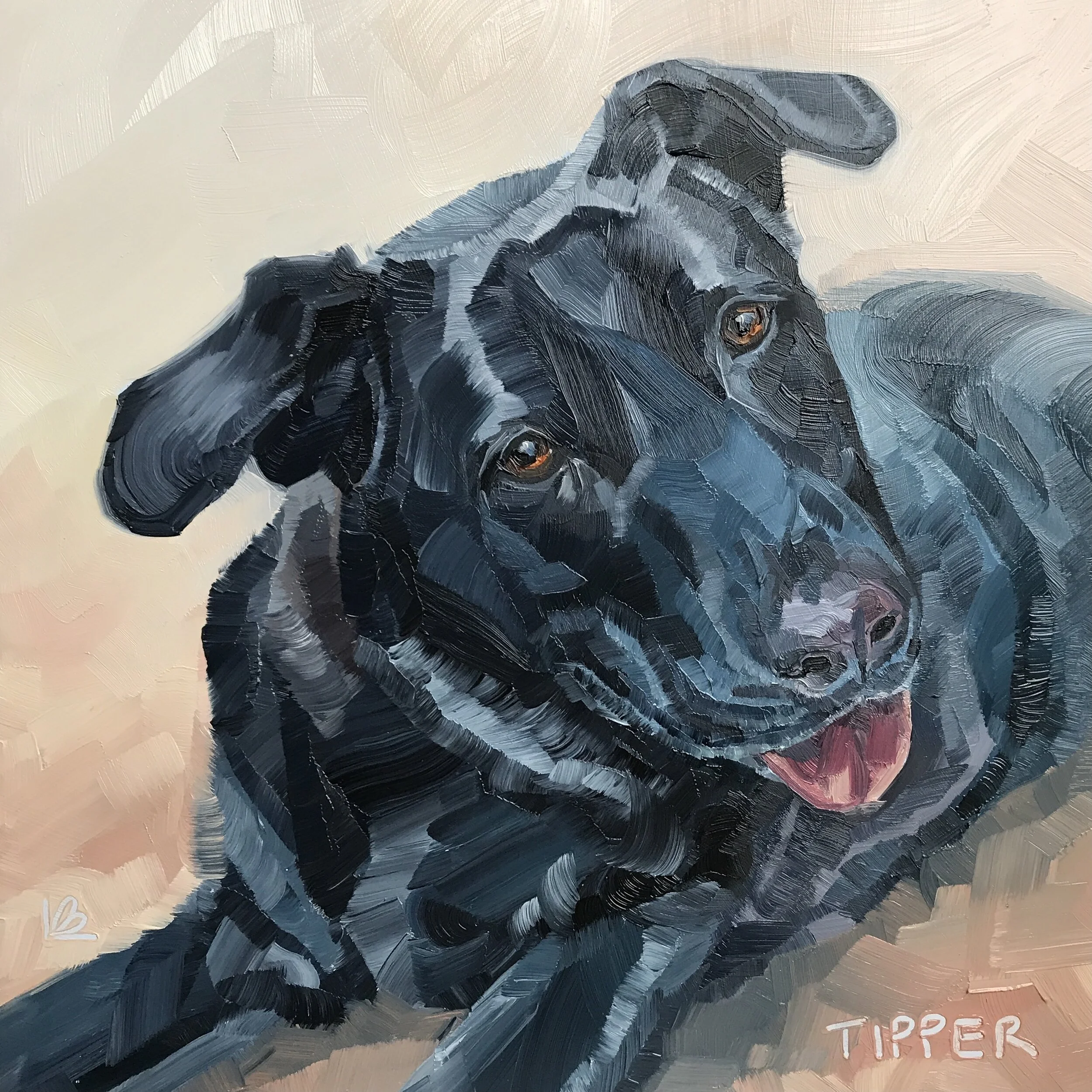 TIPPER the Labrador
