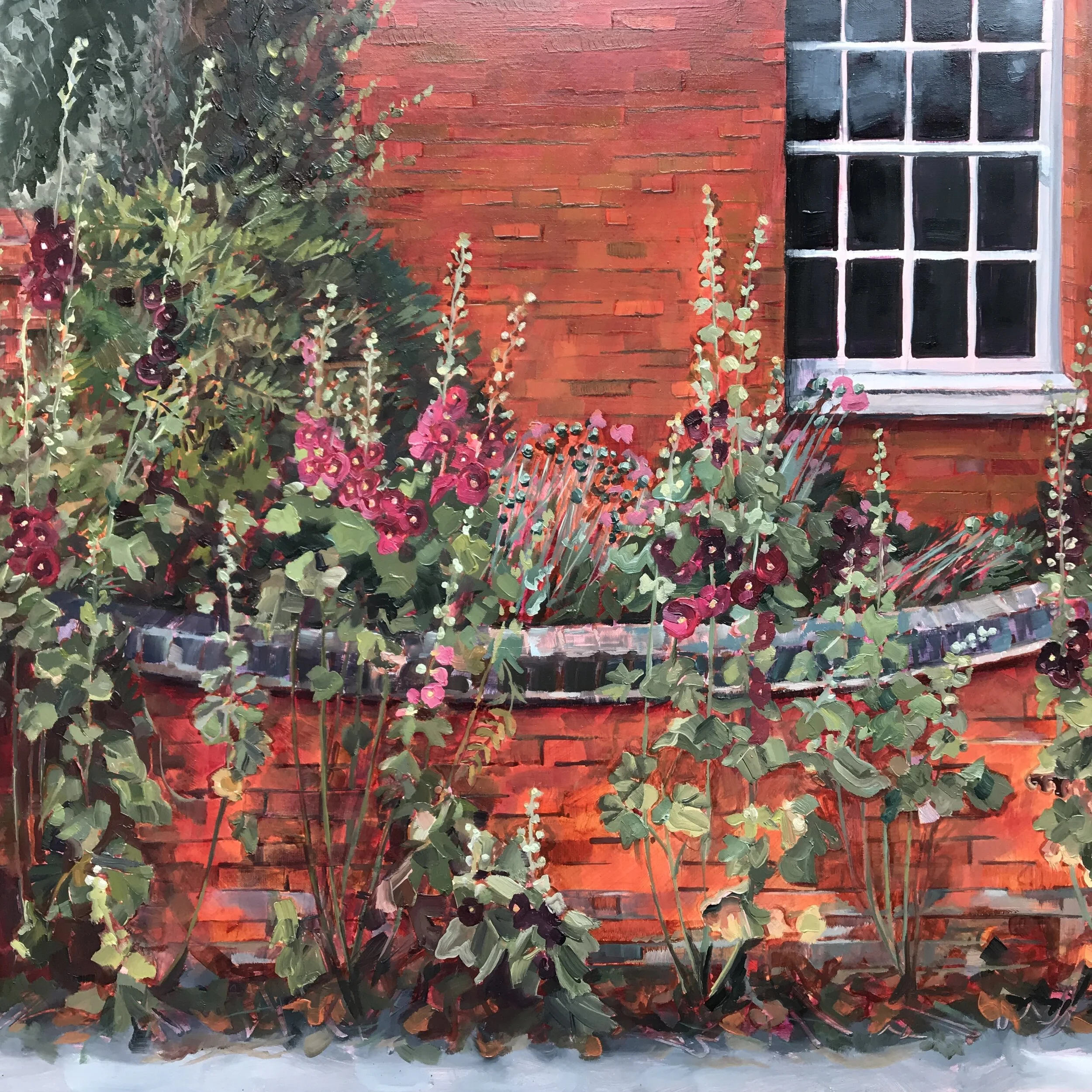 HUNNINGHAM HOLLYHOCKS