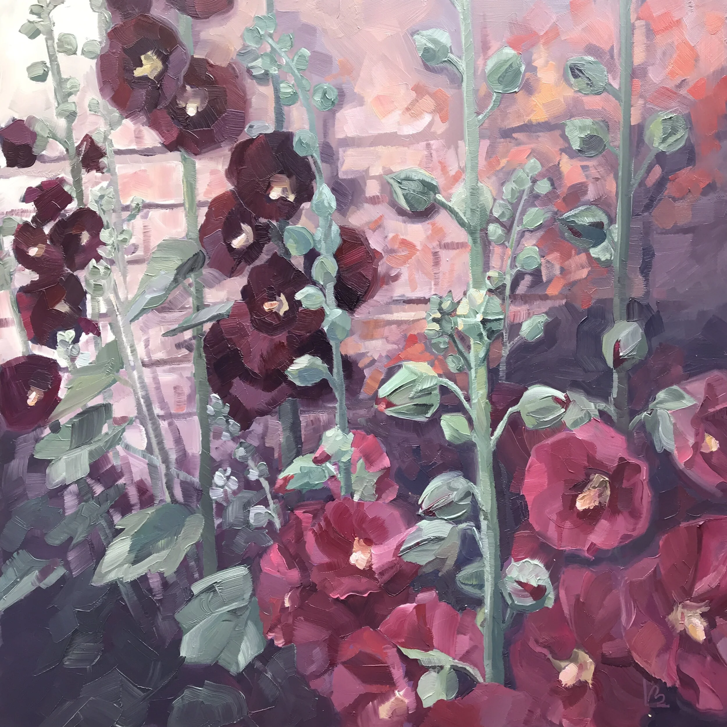 HOLLYHOCKS PINK &amp; PURPLE