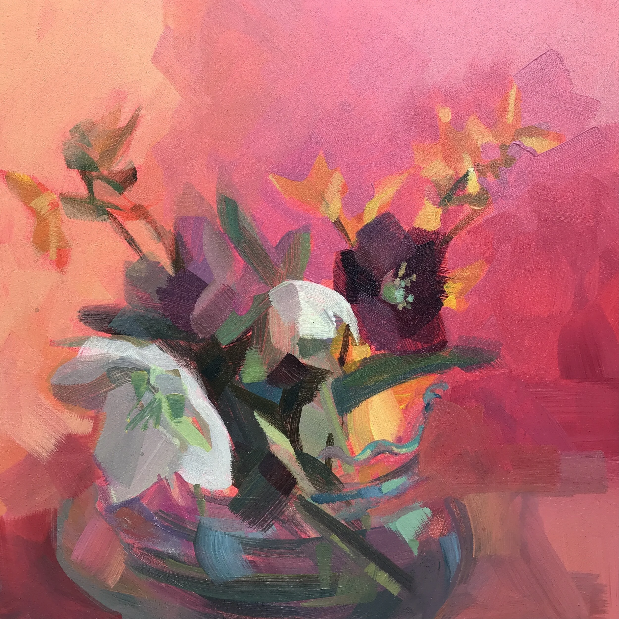 HELLEBORES &amp; FORSYTHIA