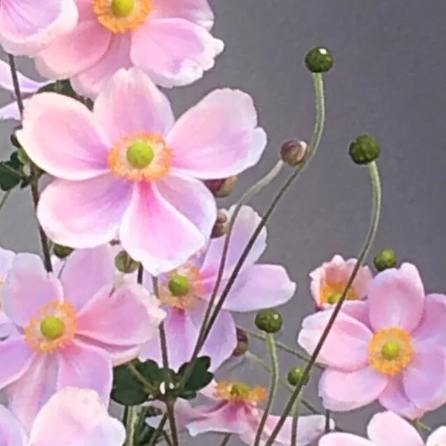 WORKSHOP 2 - REFERENCE IMAGES