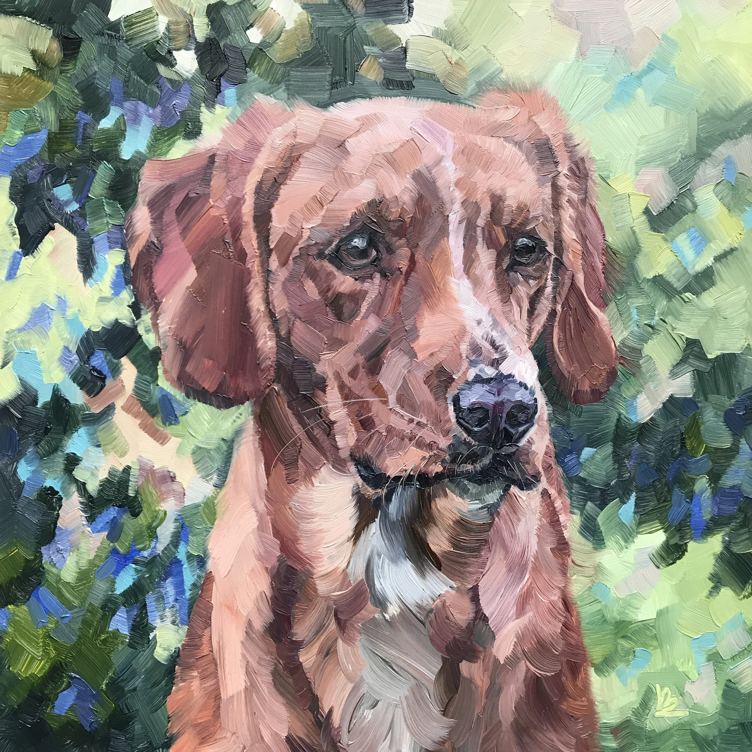 COOPER The Cockerdor