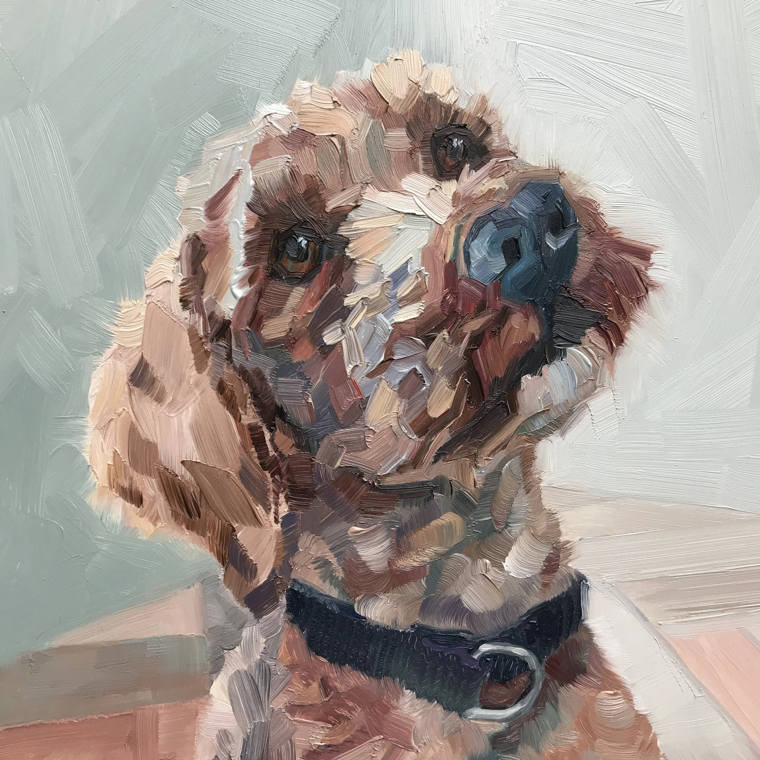 KATE The Cockapoo