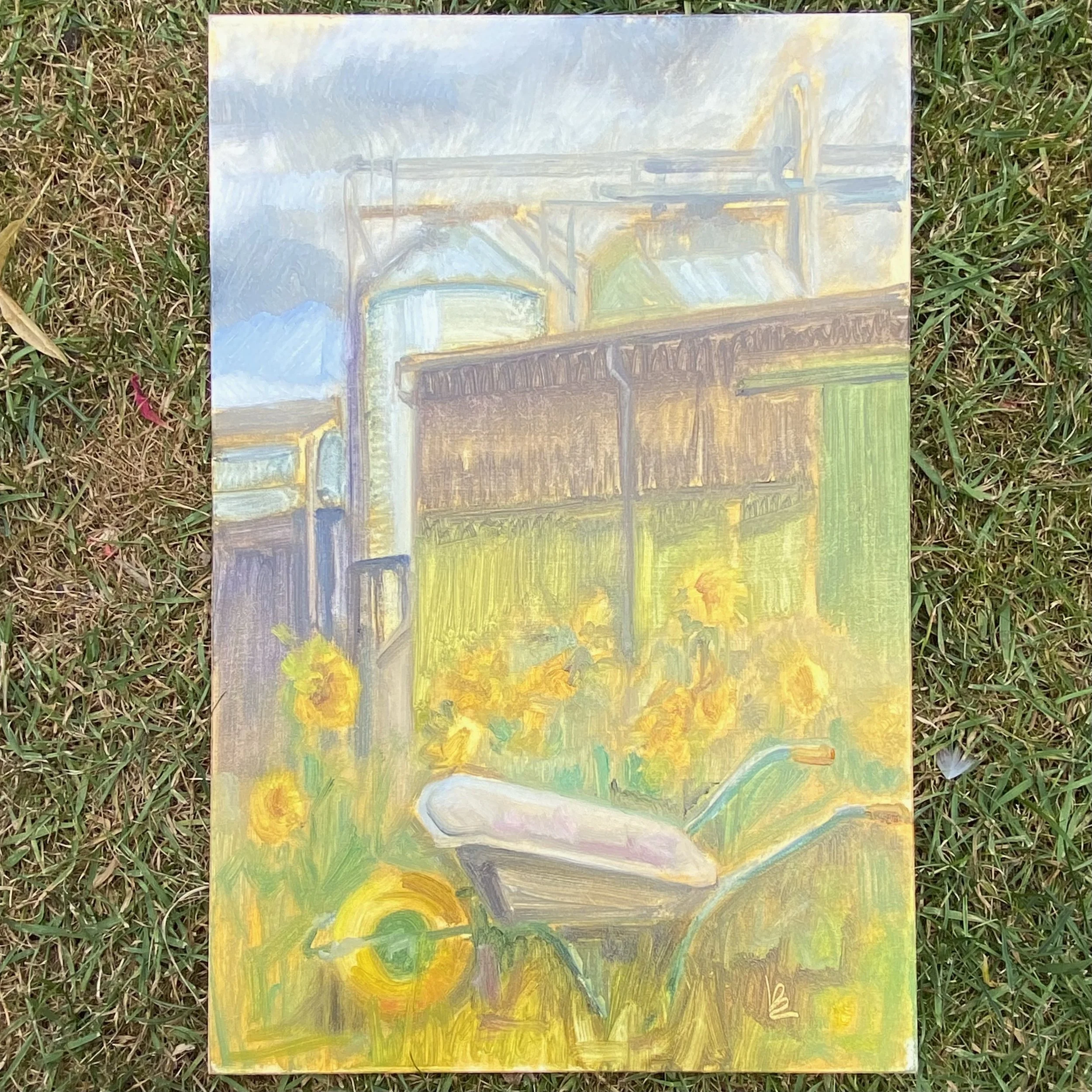 LODGE FARM SUNFLOWERS