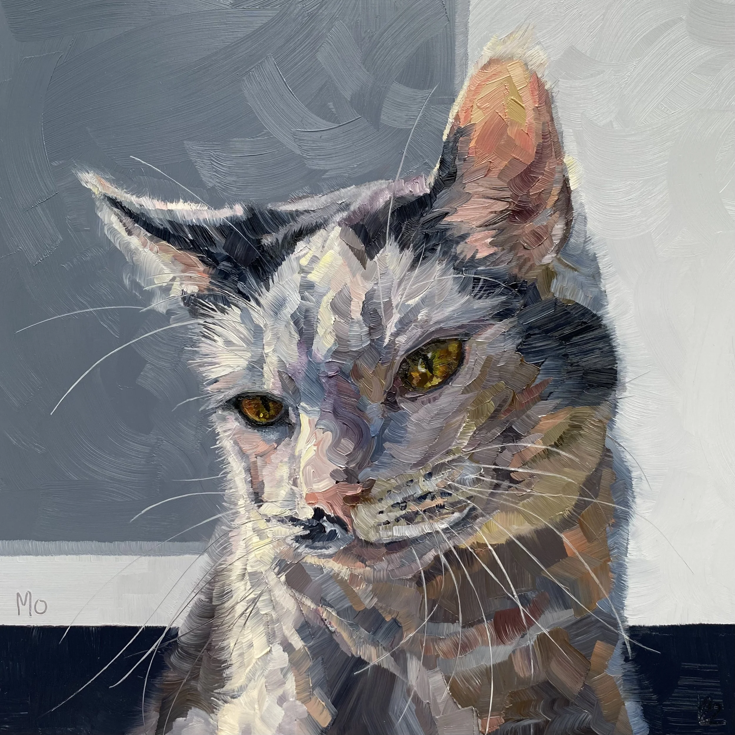 MO The Black &amp; White Cat