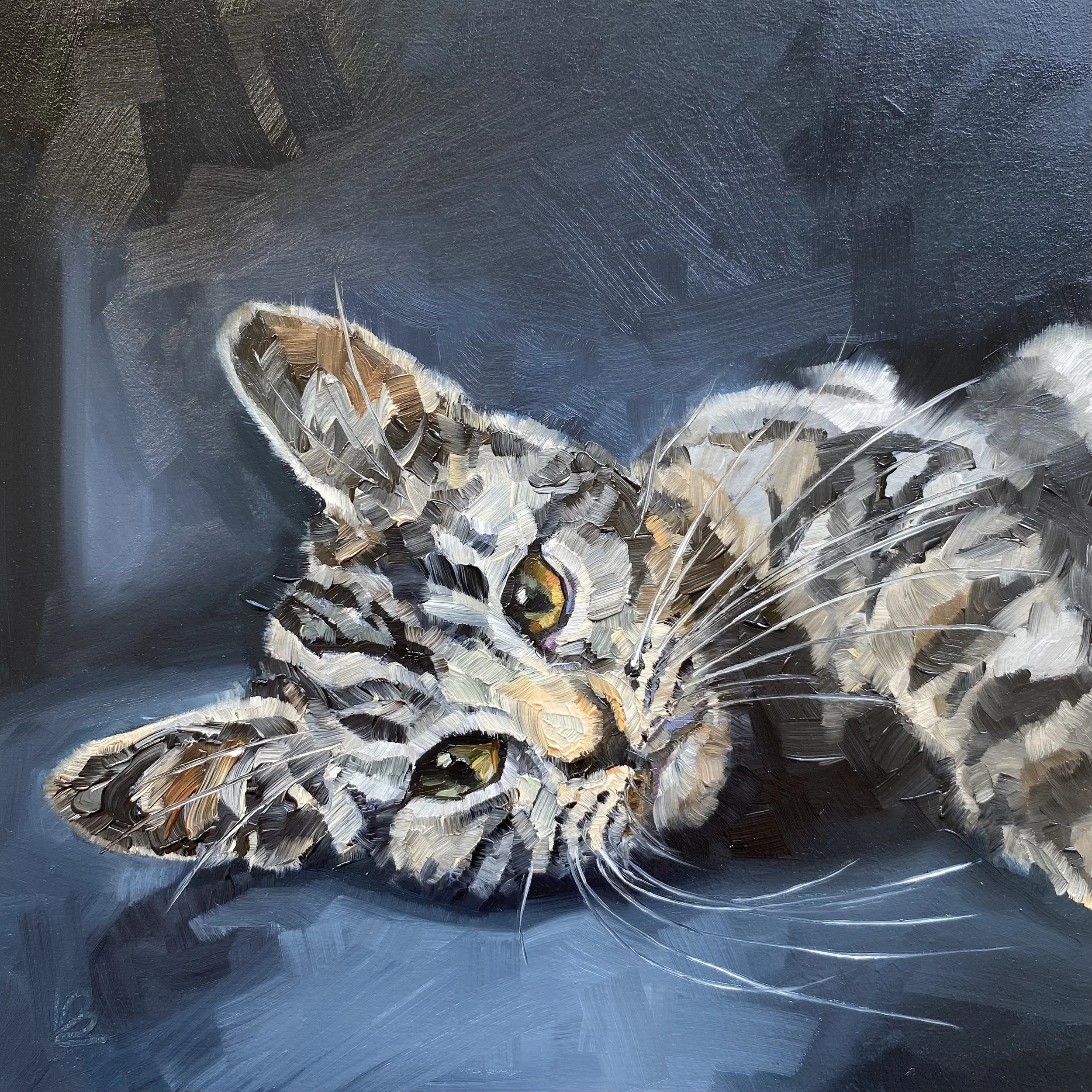 BUSTER The Stripy Cat