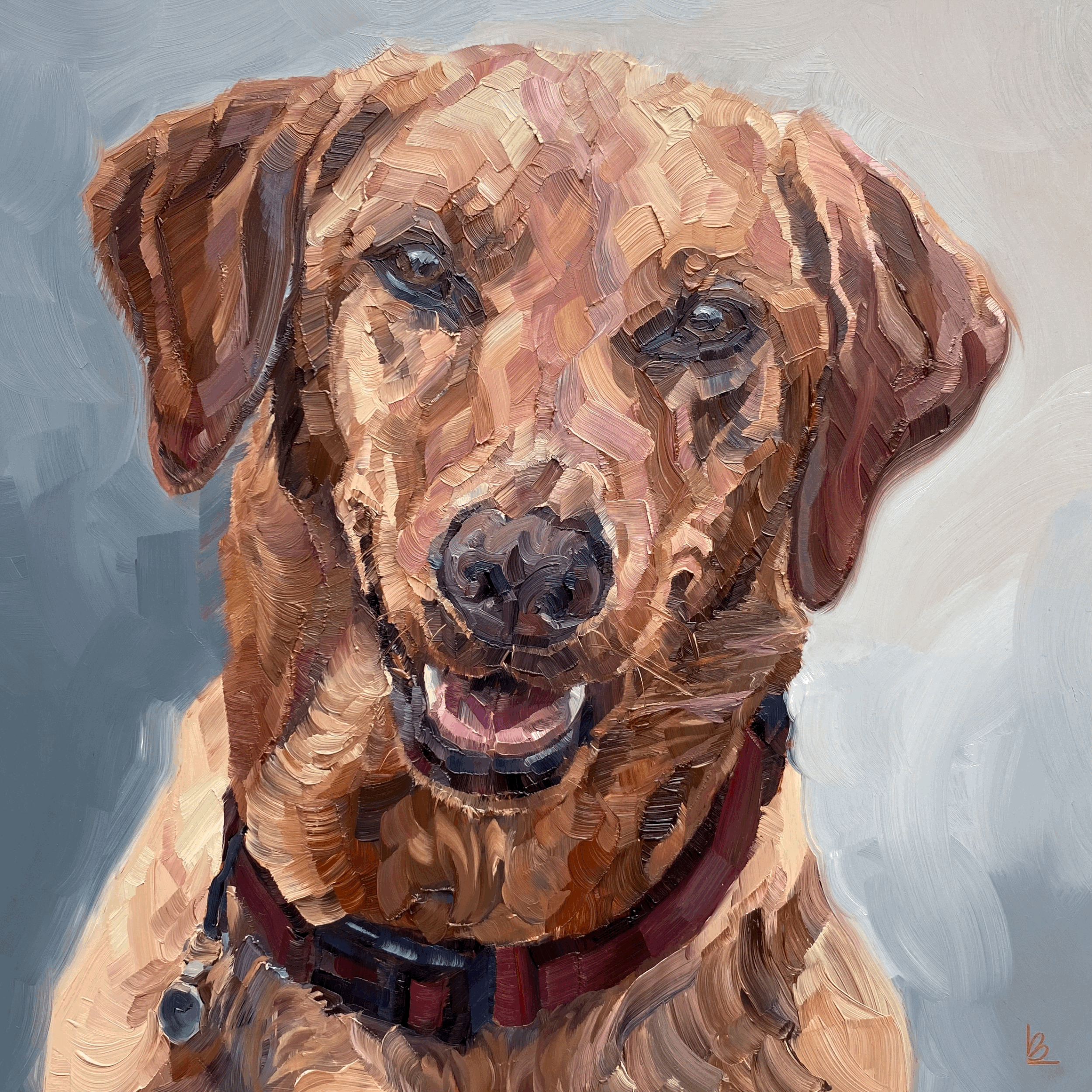 IZZY The Fox Red Labrador