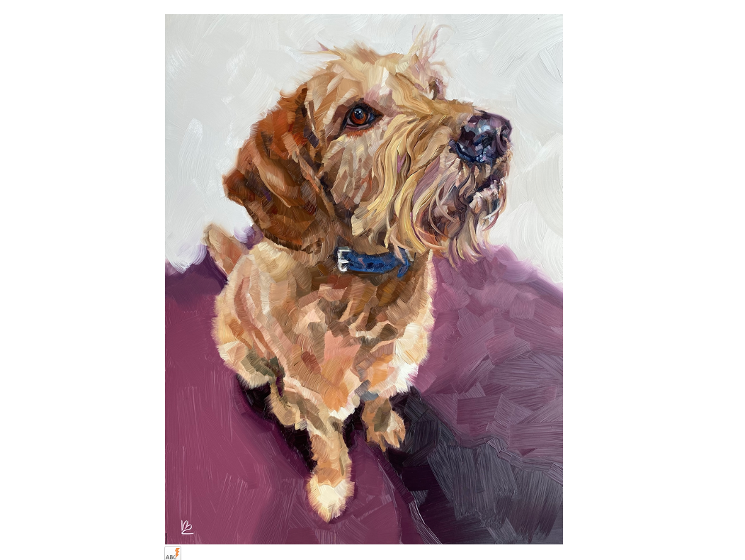 MILO - The Miniature Labradoodle