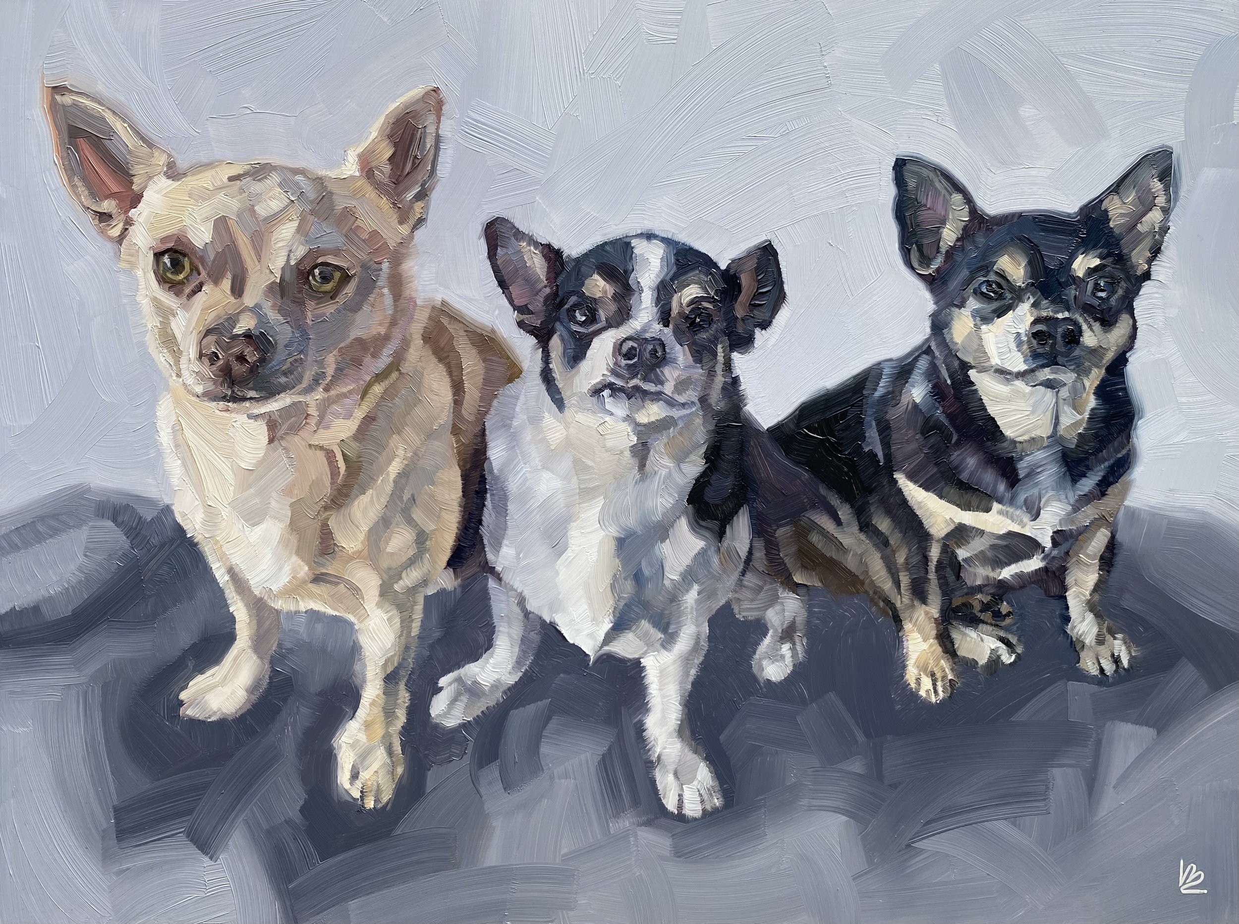 BOBBY, OGGY, ELLY -The Chihuahiuas