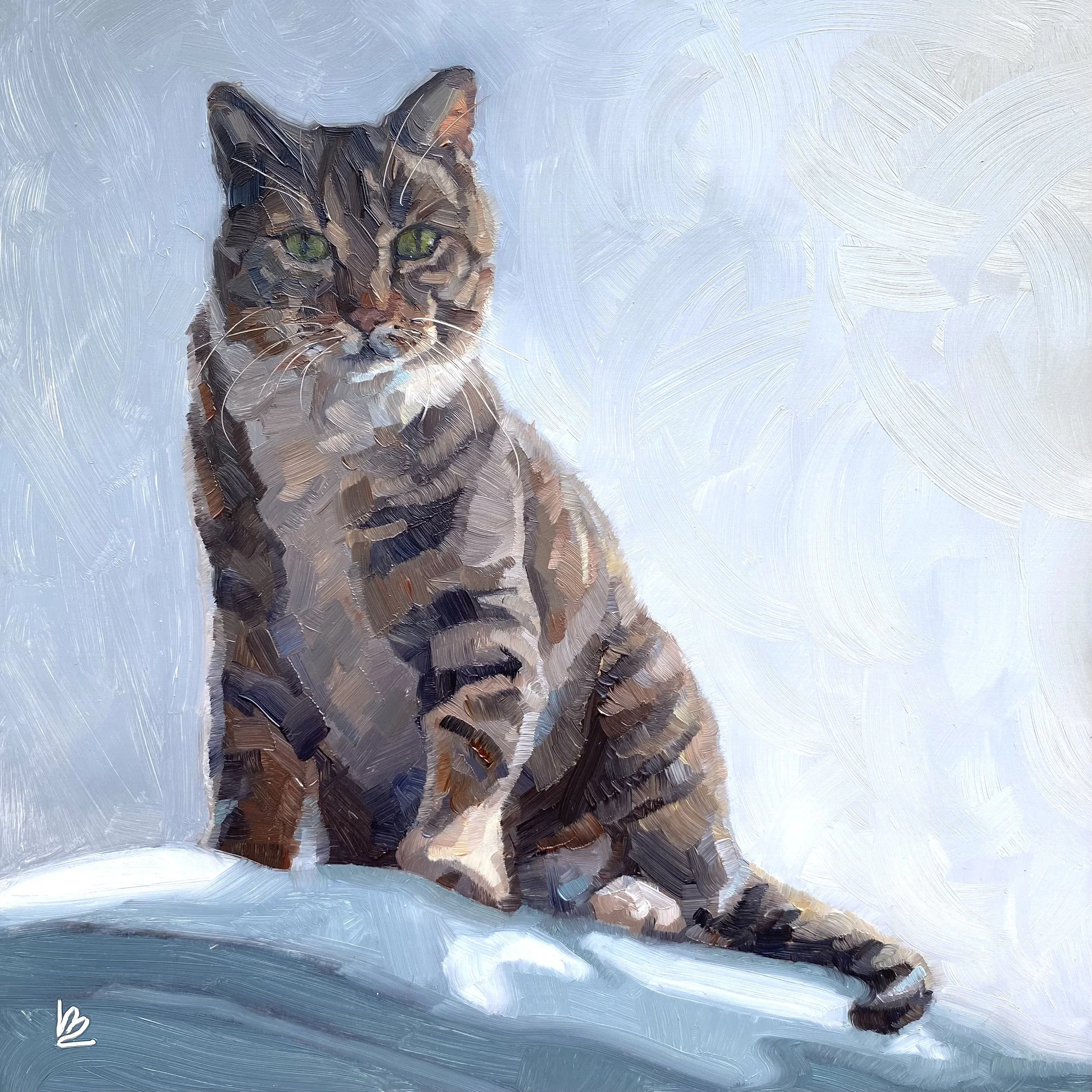 OLLIE - The Tabby Cat