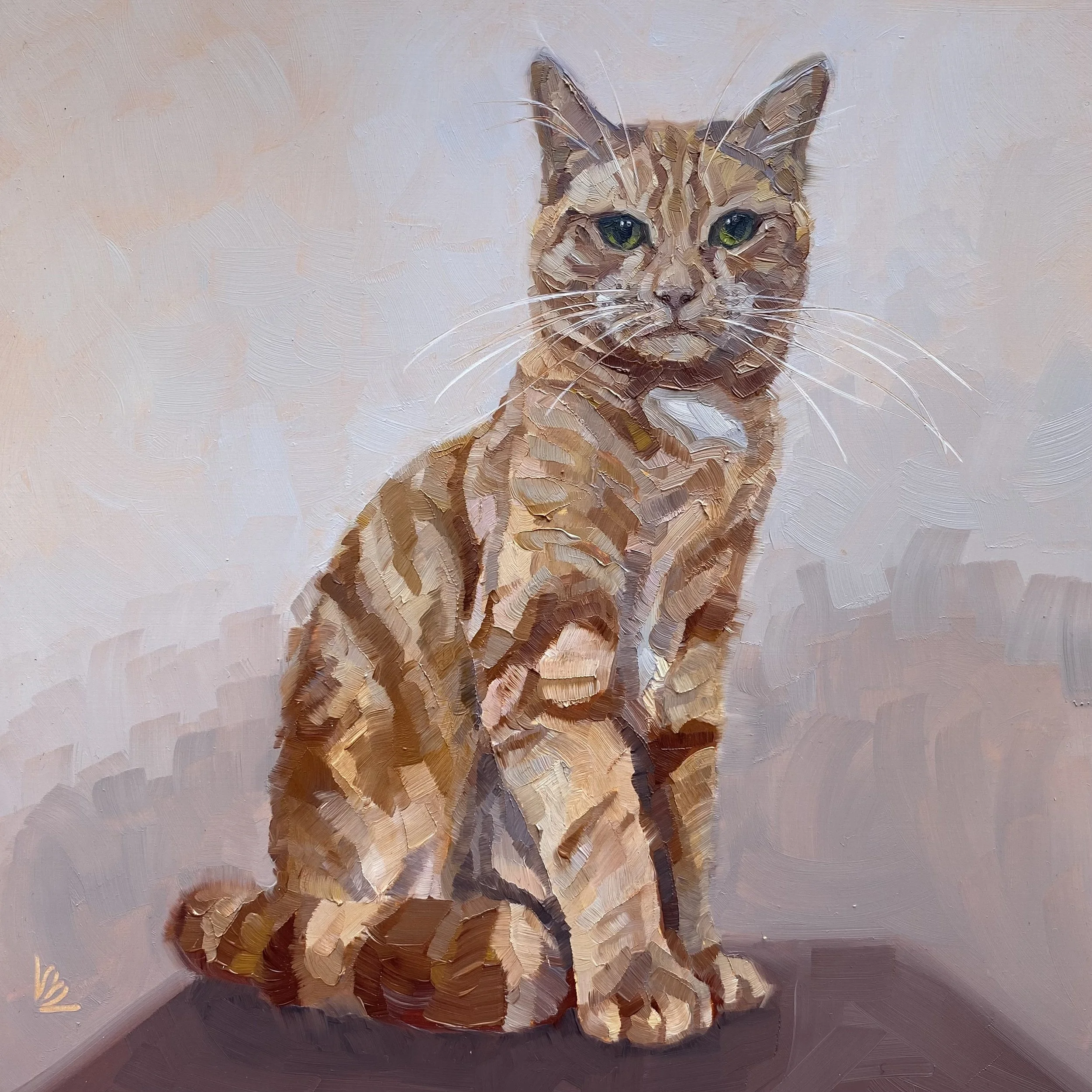 GINNY - The Ginger Cat