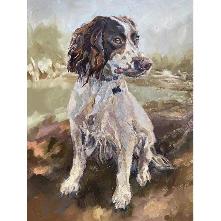 LARRY - The English Springer Spaniel