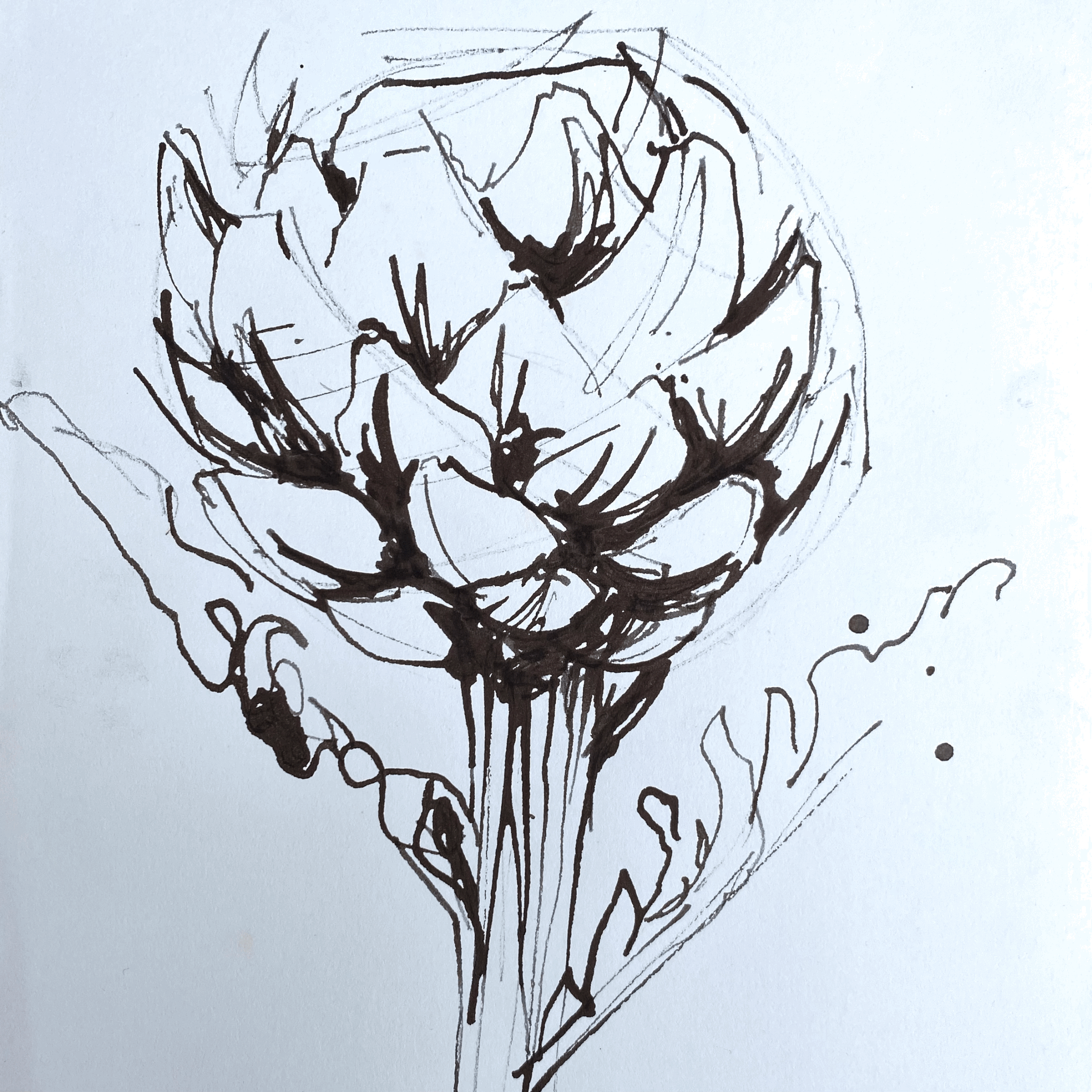 ARTICHOKES &amp; ALLOTMENTS!