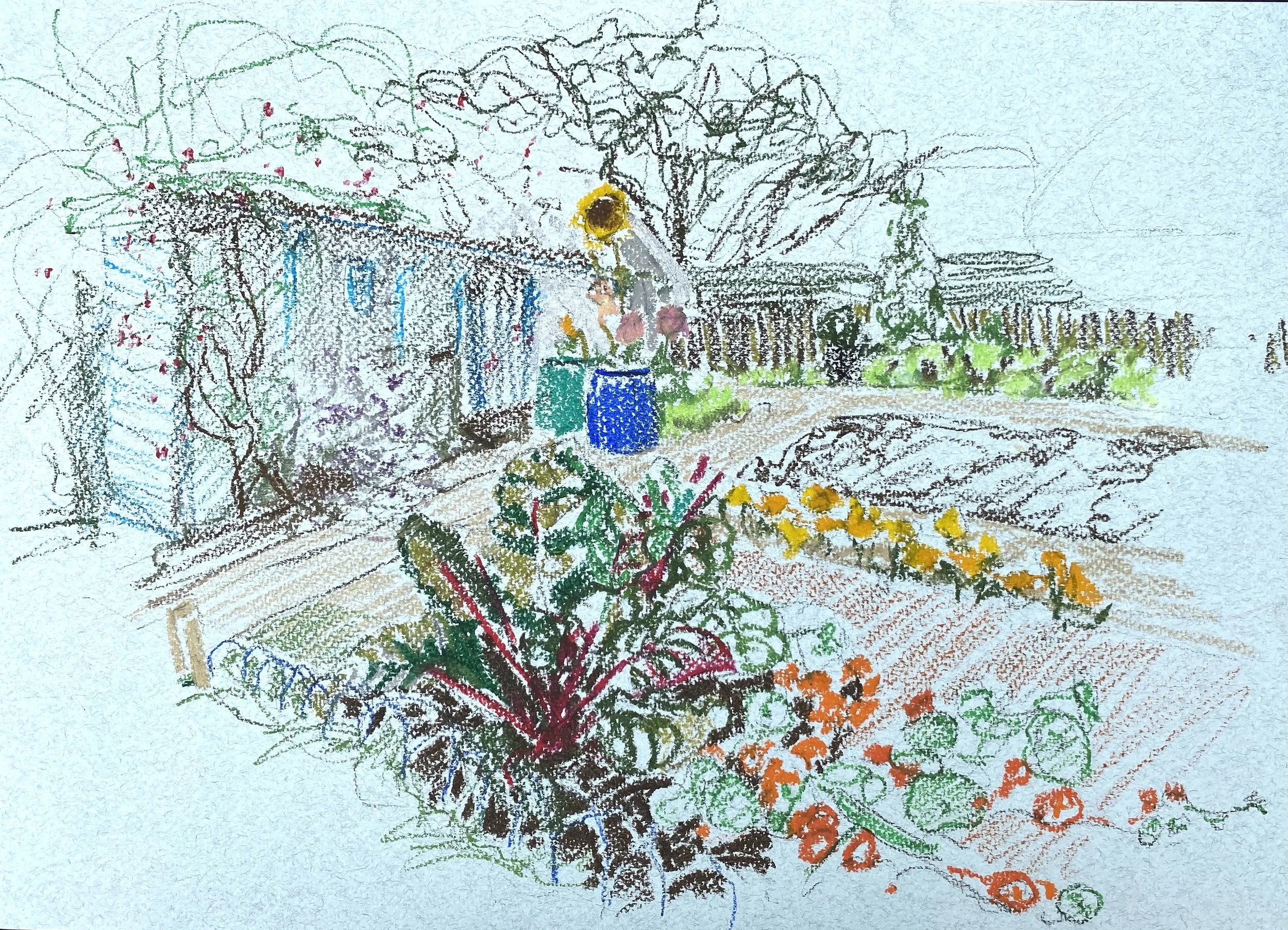 RHUBARB &amp; WATER BUTTS