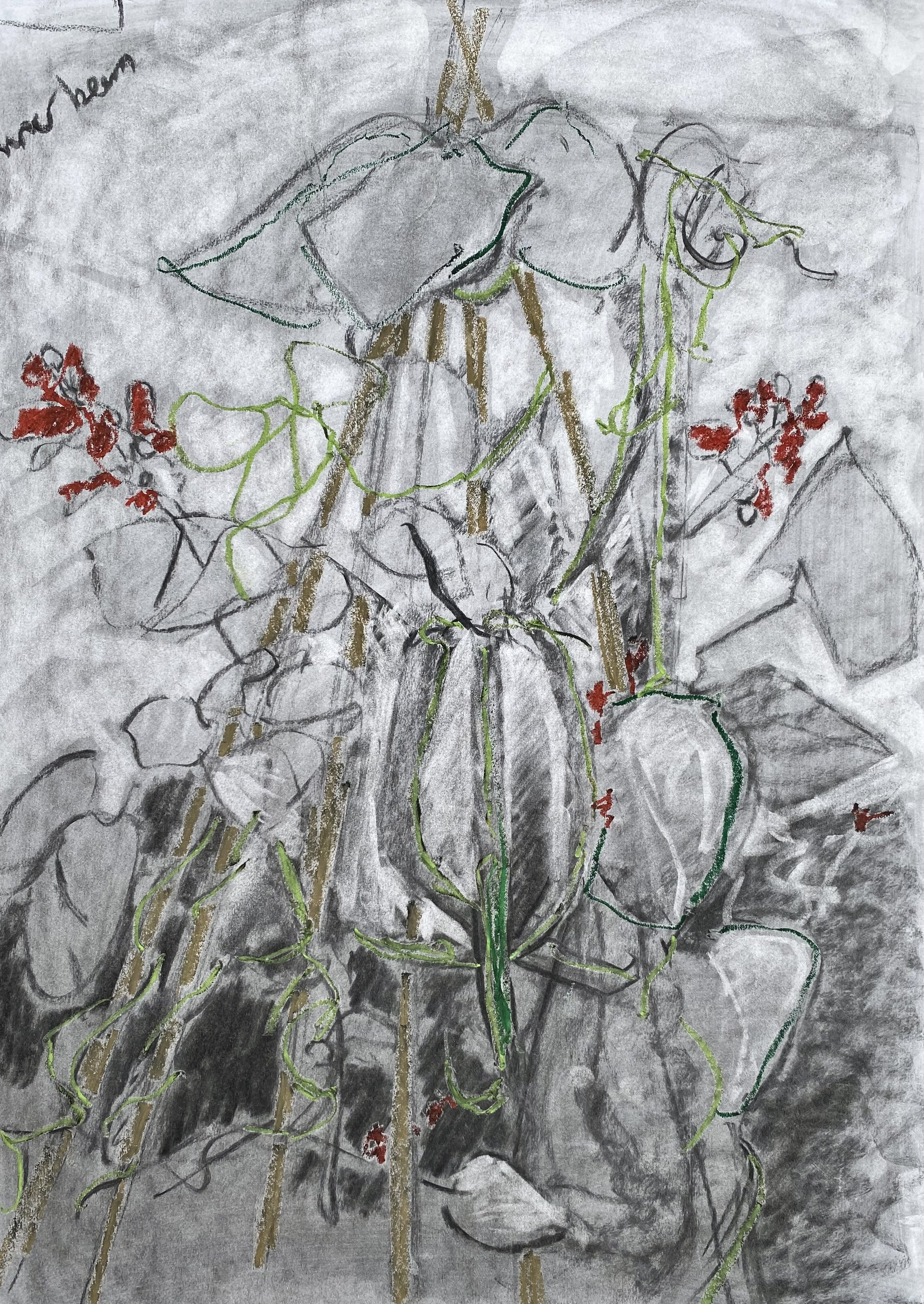 RUNNER BEANS &amp; TEE-PEES 