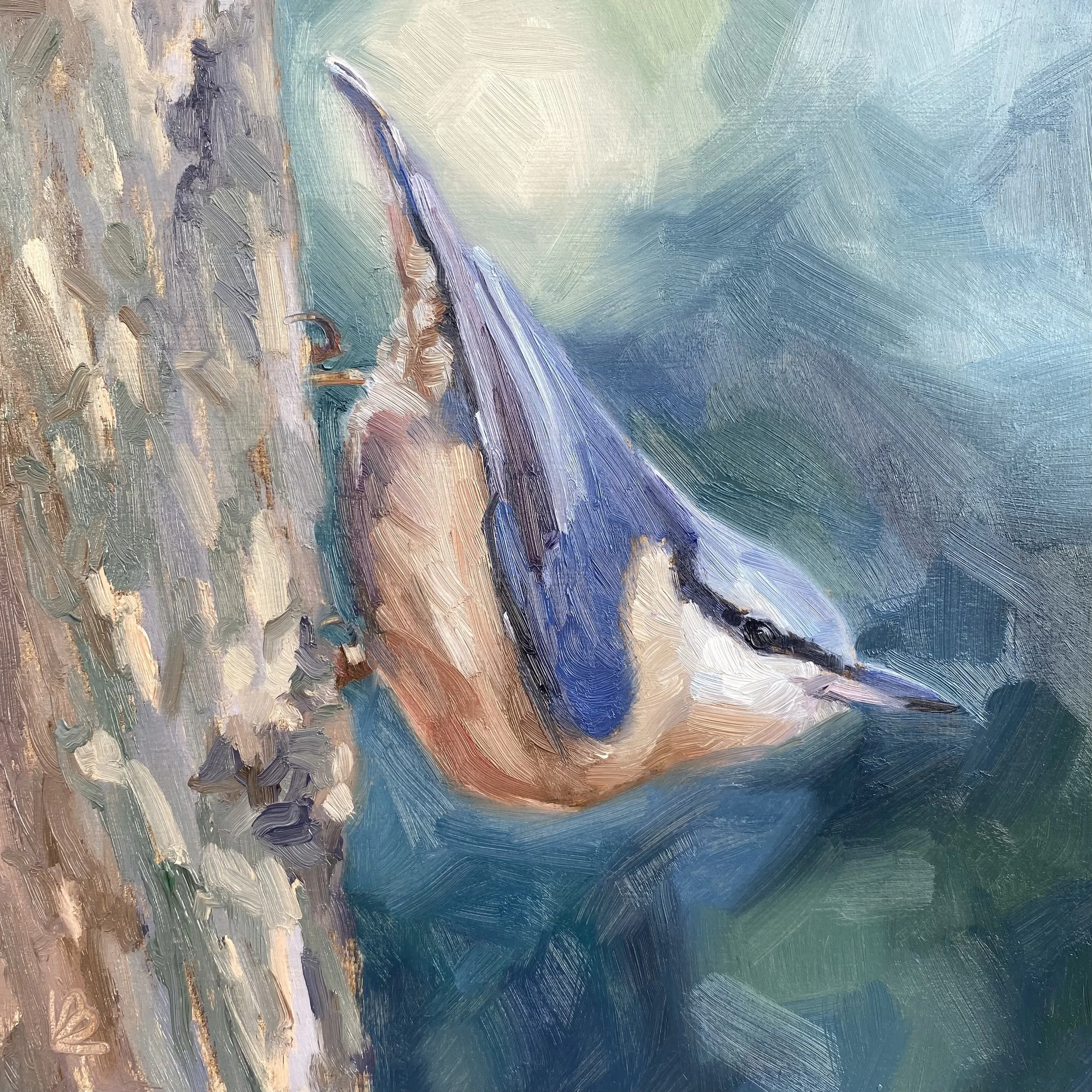 NUTHATCH