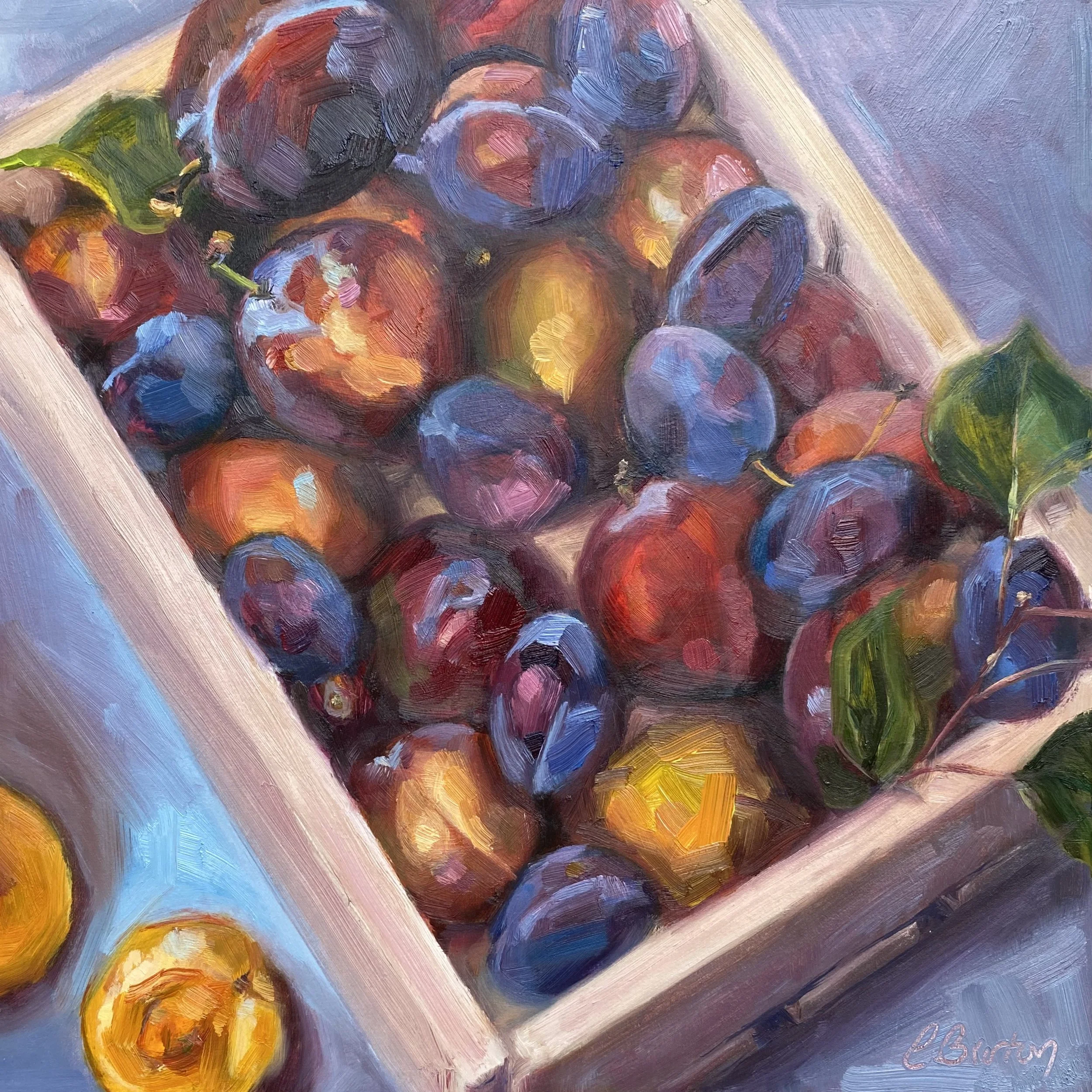 PLUMS &amp; NECTARINES