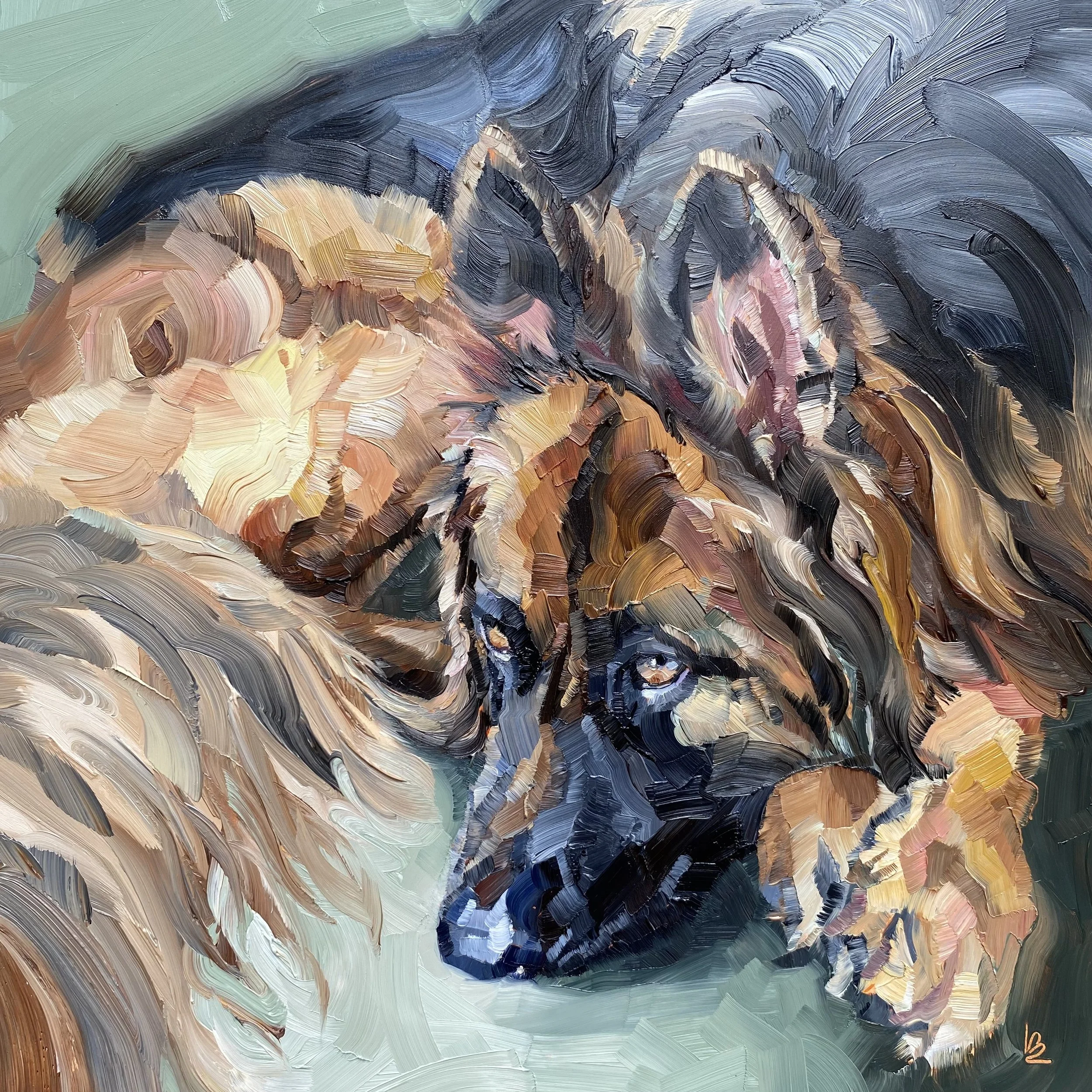 Pet Portraits with Personality