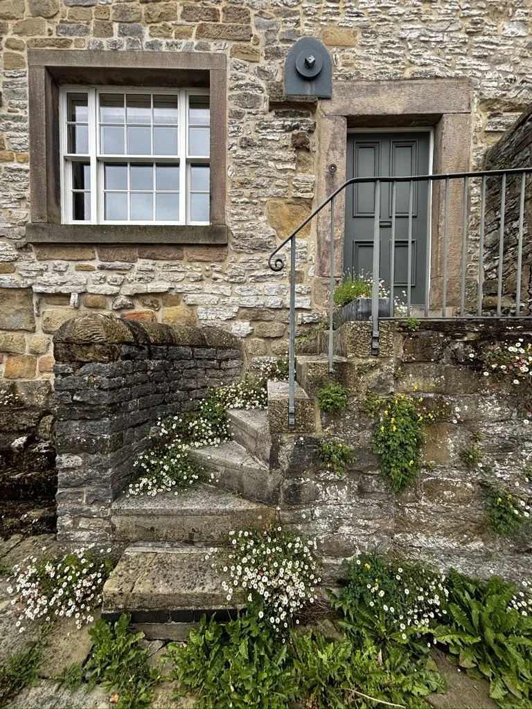DAISY STEPS