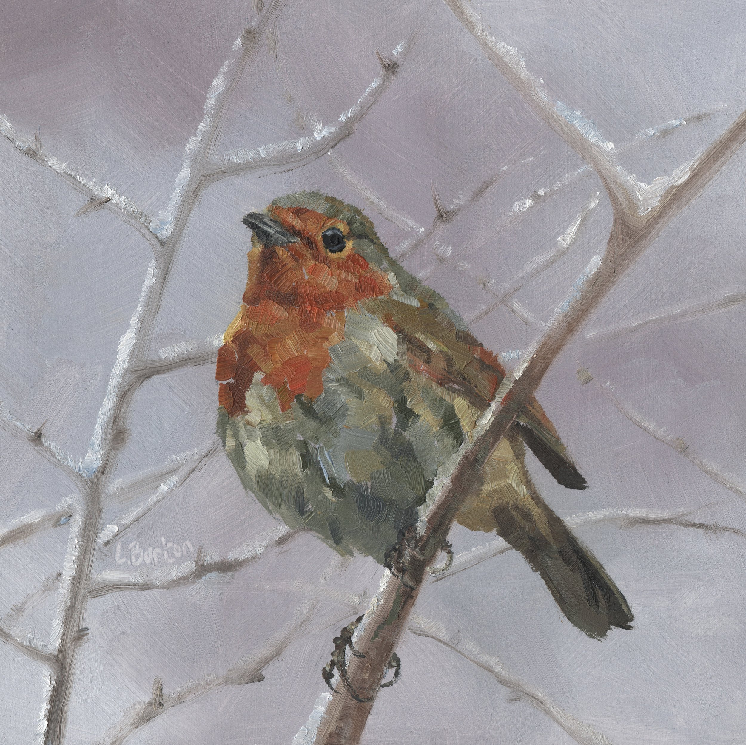 GARDEN ROBIN 8" x 8" NFS
