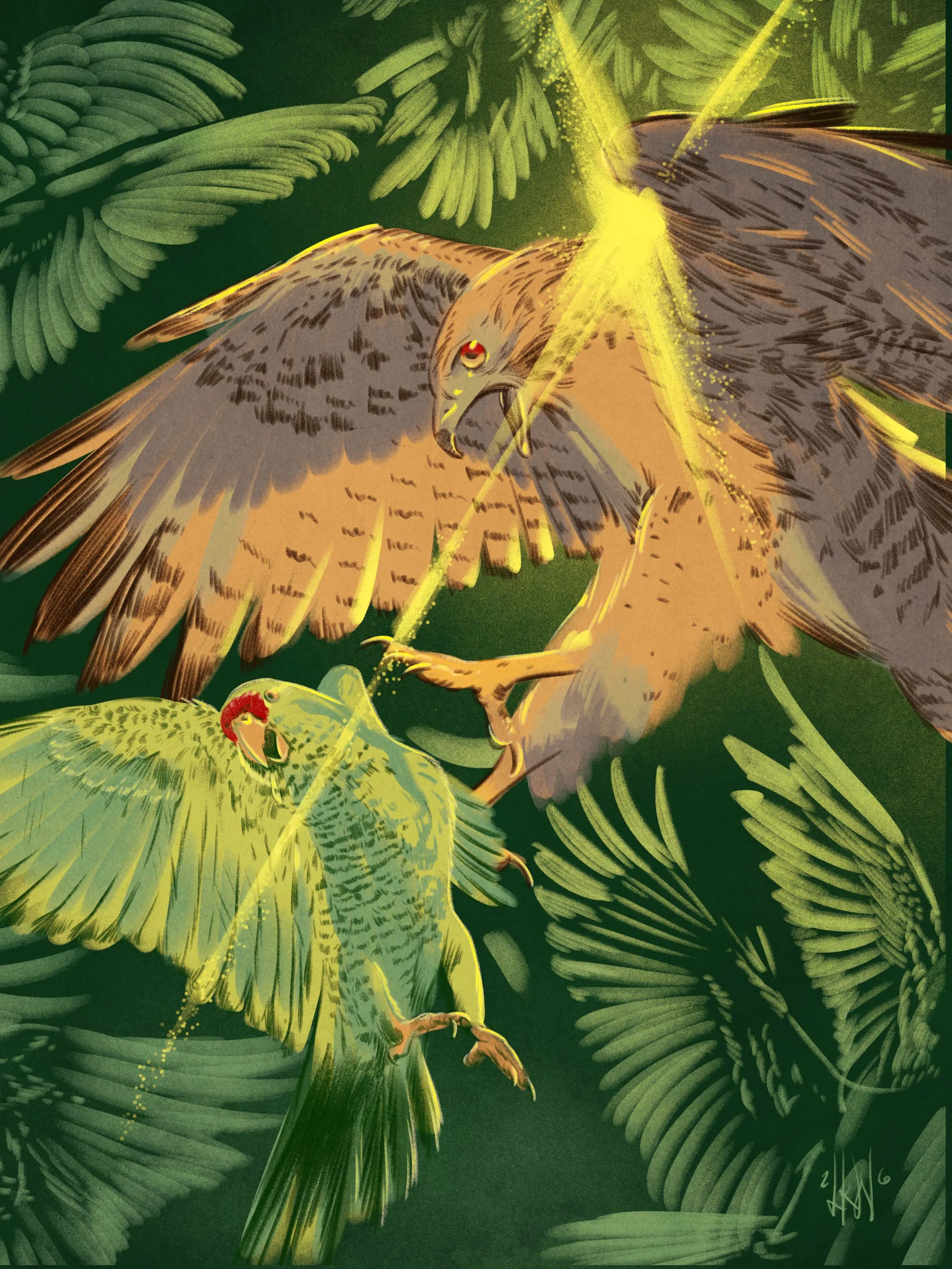 HawketParrot_INPRNT.jpg