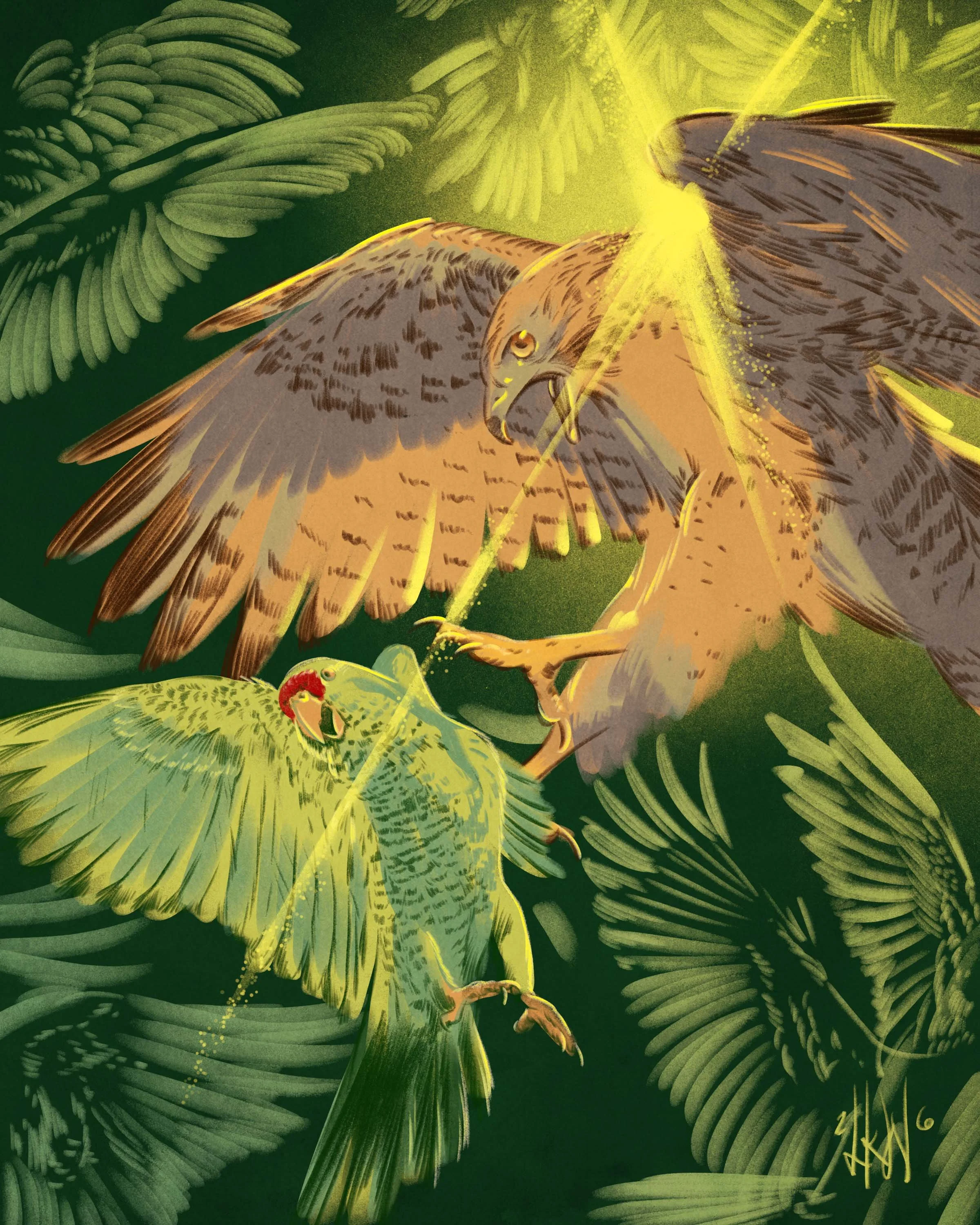 HawketParrot.jpg