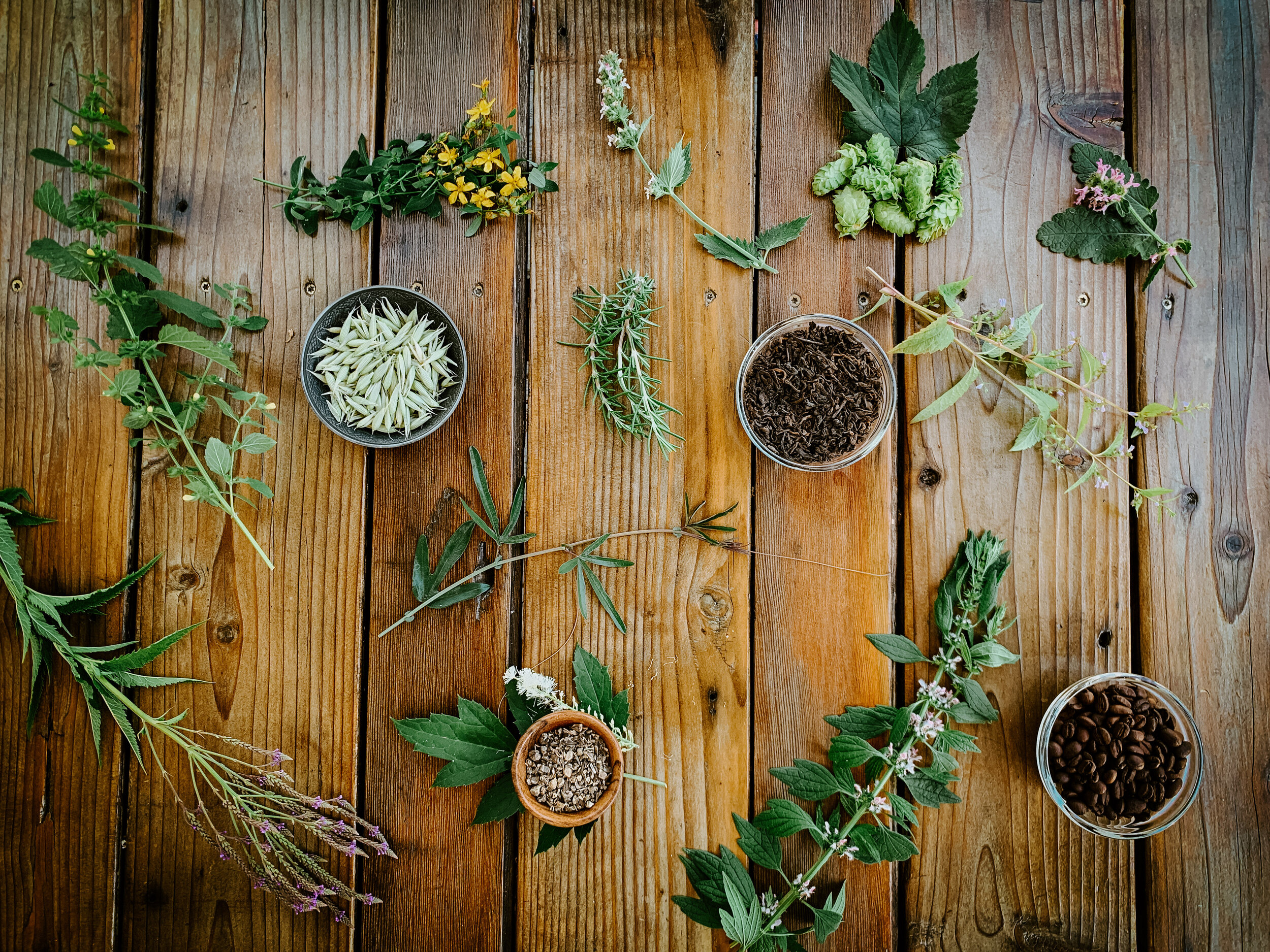 Graduate Spotlight — Green Path Herb School