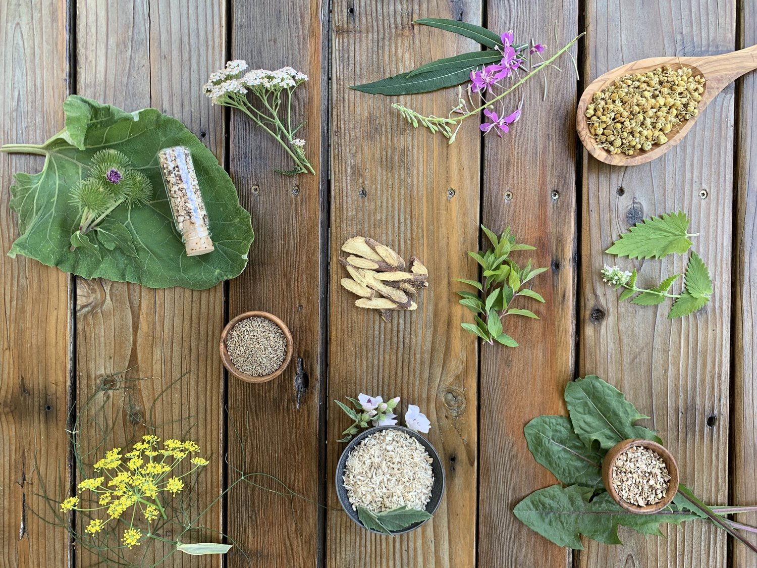 FREE Herb Books — Green Path Herb School