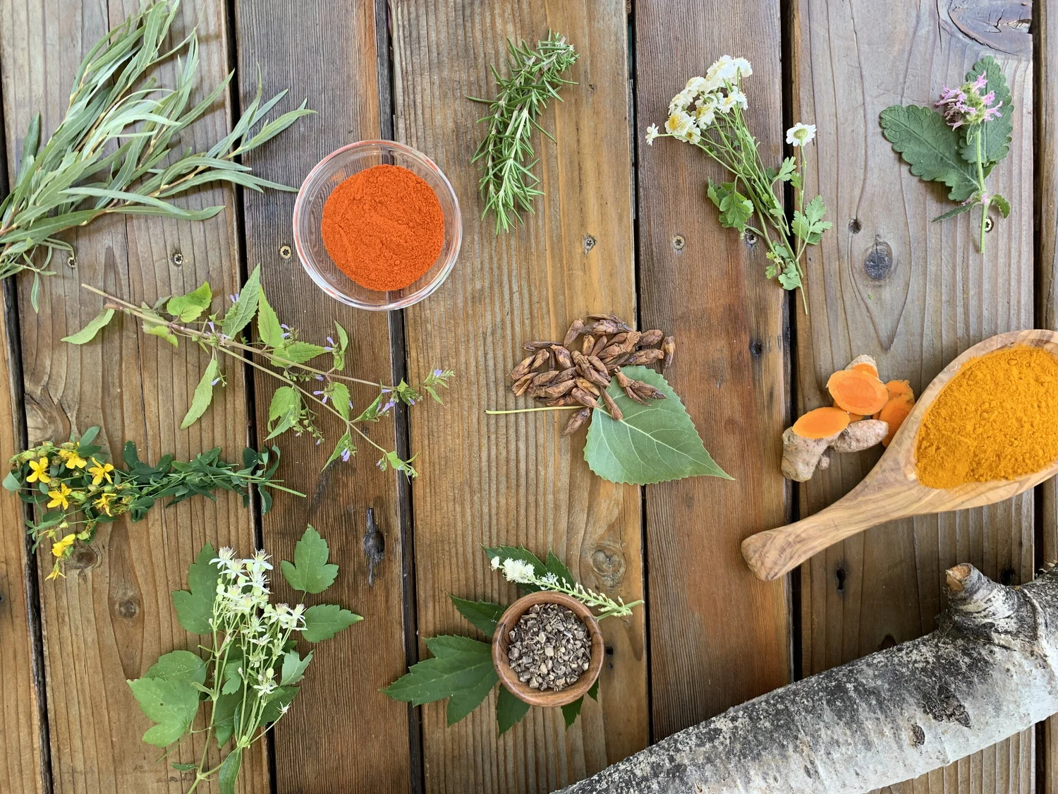 Herbal Foundations — Green Path Herb School