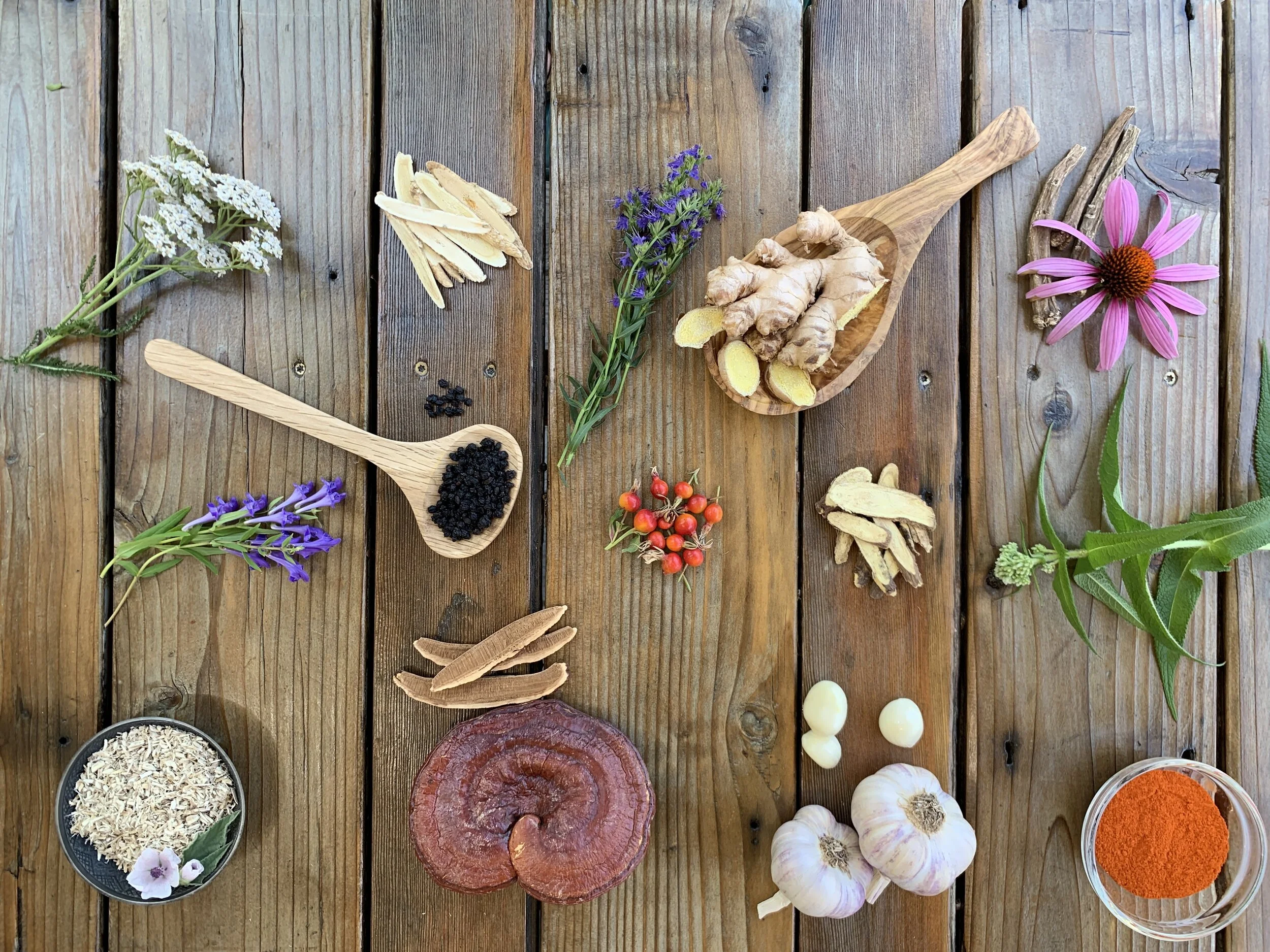 Herbalist Certificate Program — Green Path Herb School