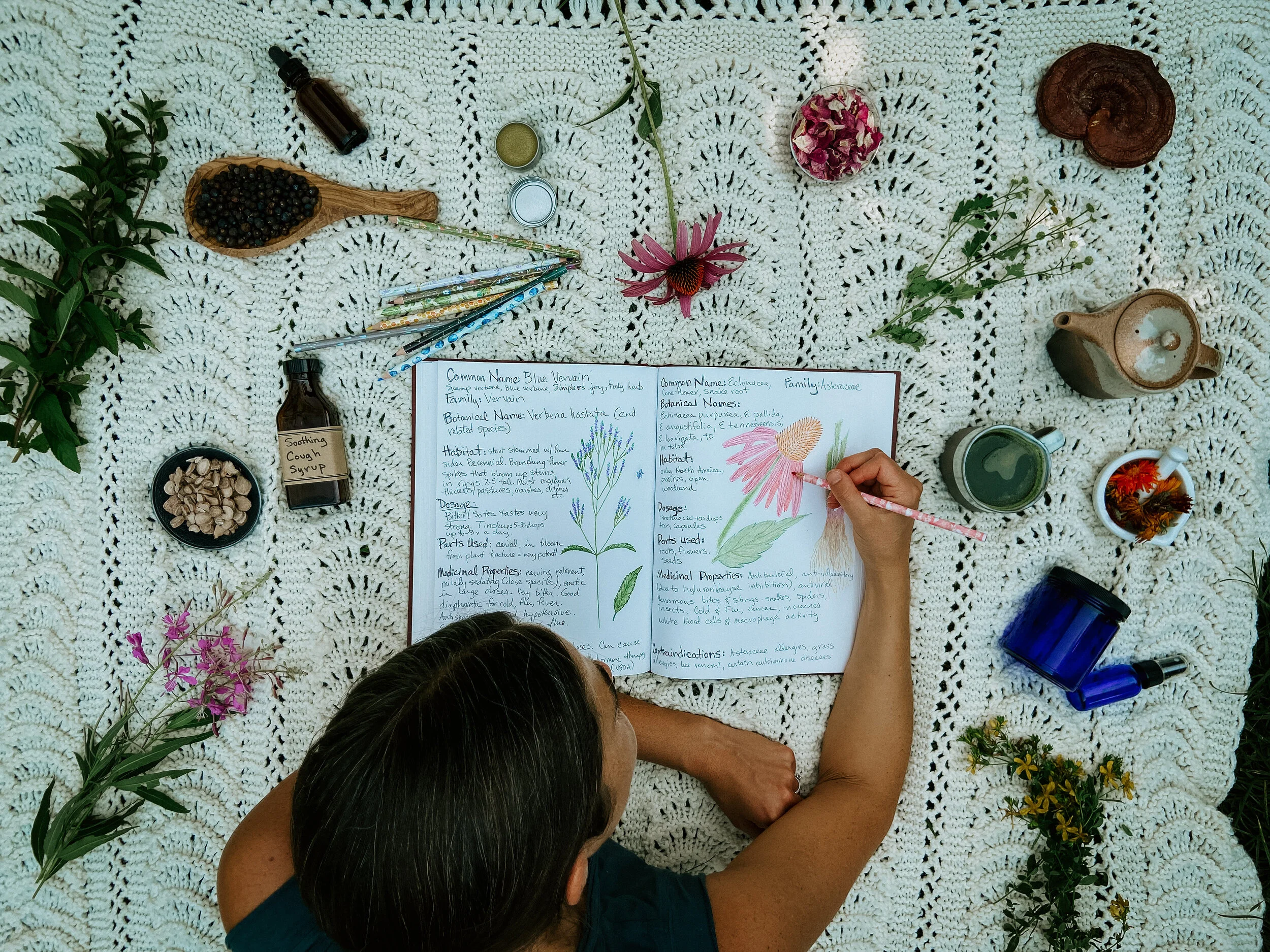 Herbalist Certificate Program — Green Path Herb School