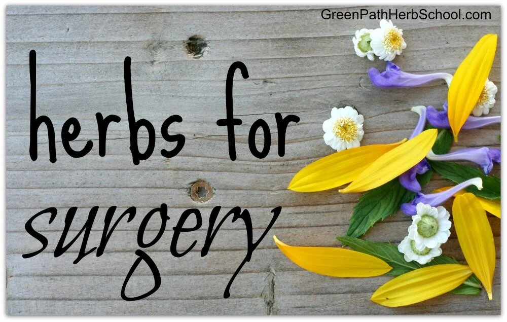 Herbs for Surgery — Green Path Herb School