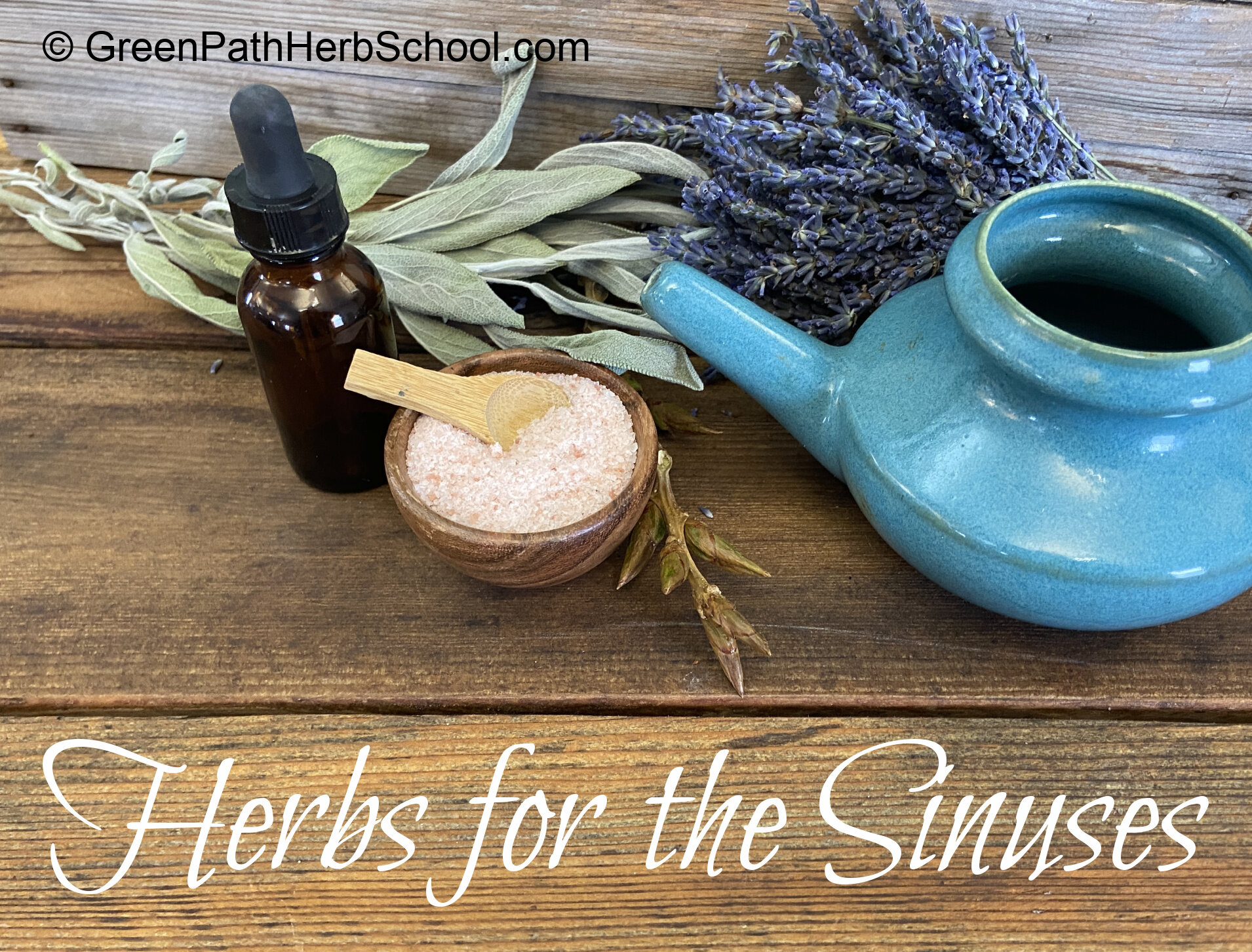 https://images.squarespace-cdn.com/content/v1/5f566d50a570ab2acc5bf8dc/1613071342245-VD40MVVGY360OBBBUO2D/Herbs+for+the+Sinuses