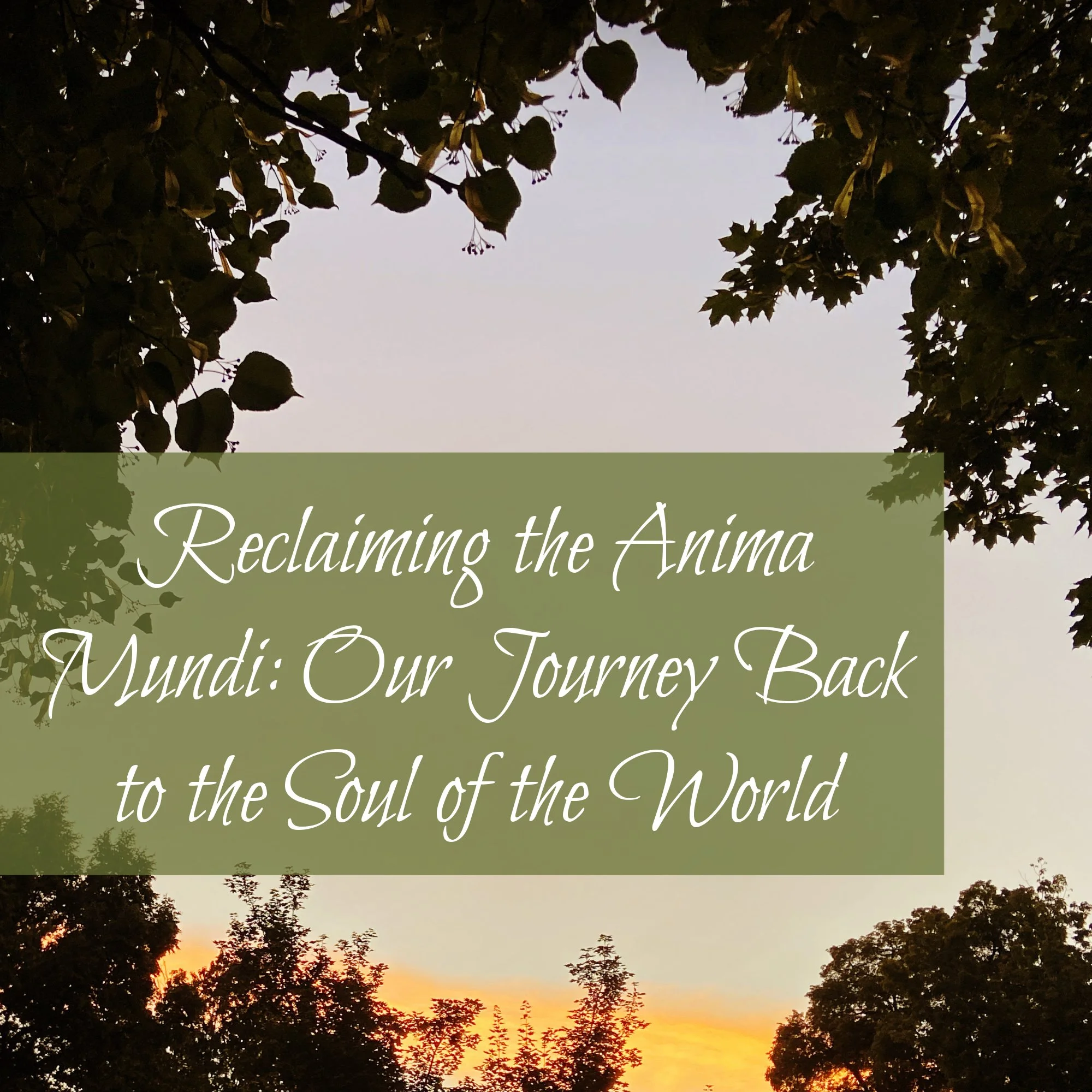 Reclaiming the&nbsp;Anima Mundi: Our Journey Back to the Soul of the World