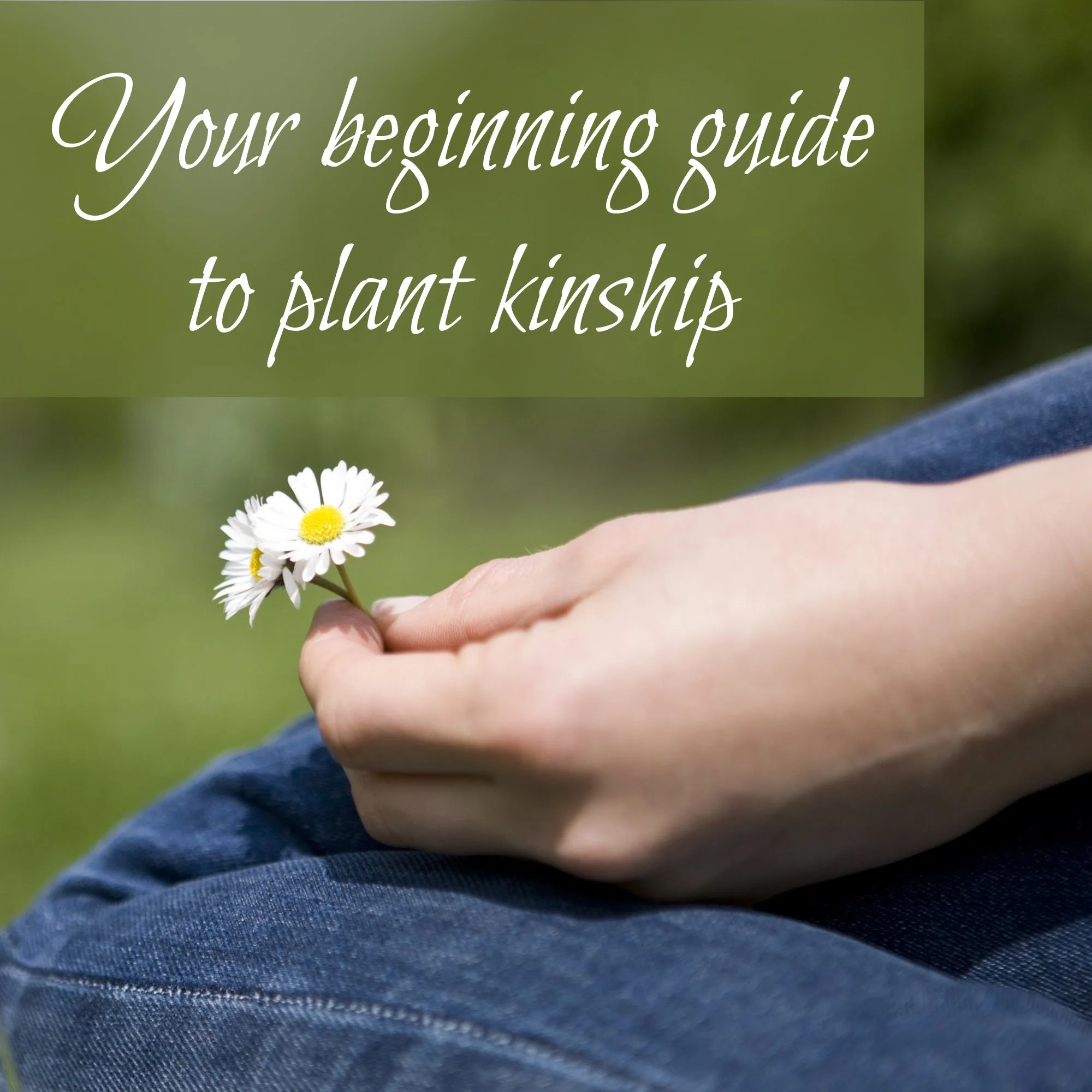 Your Beginning Guide to Plant Kinship